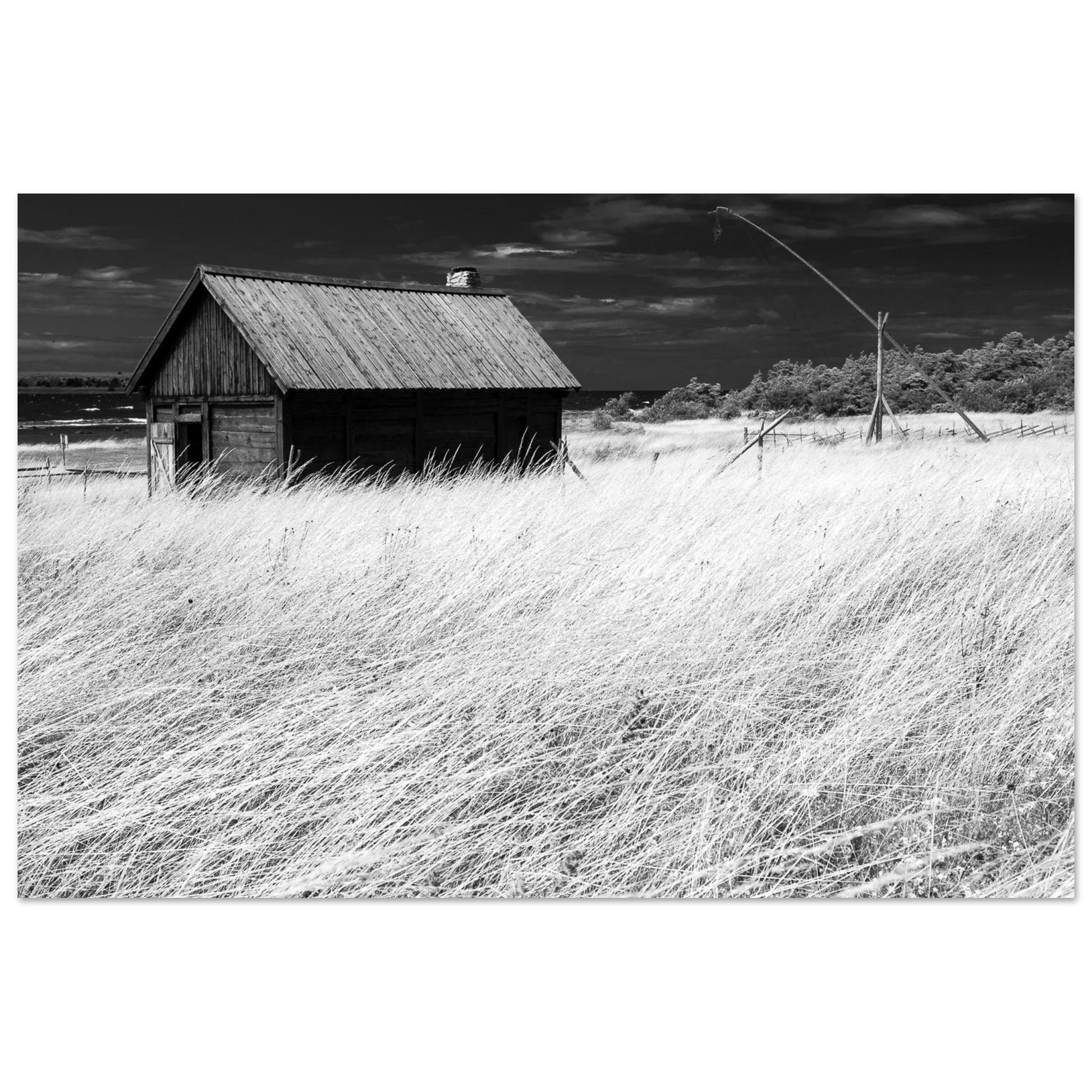 6a92bfb6-c06d-48f5-87c2-bc155dd88ff0