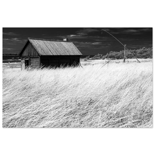 6a92bfb6-c06d-48f5-87c2-bc155dd88ff0