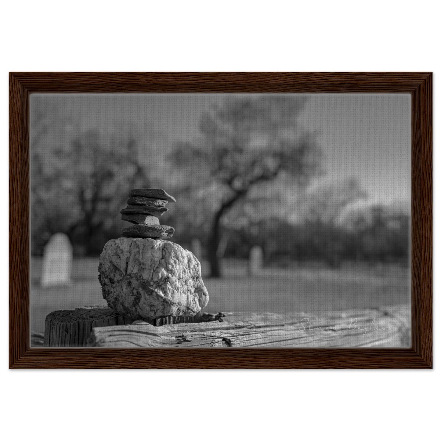 6ab92d23-0cac-4f9e-b93a-173e3c349fa4