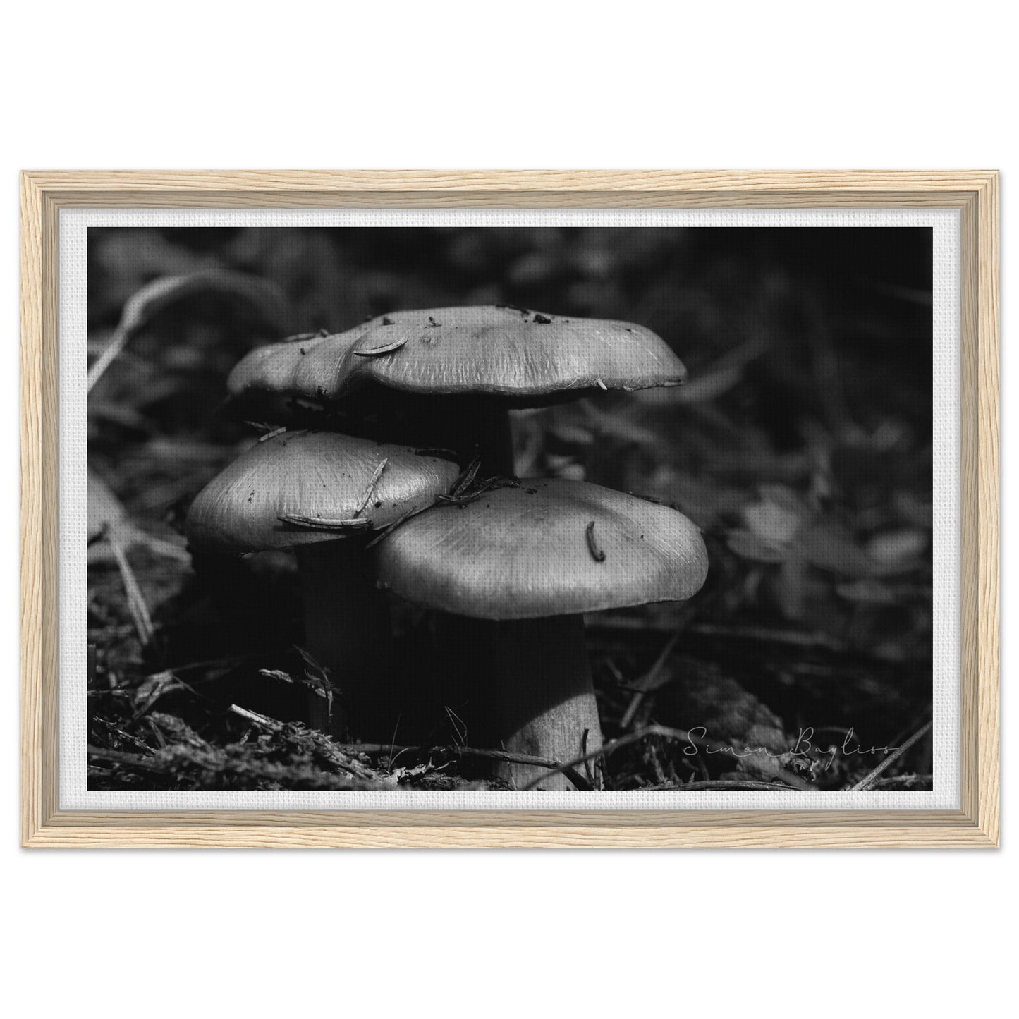 6acbef5e-a0cc-4498-9902-bd9d8482ea90