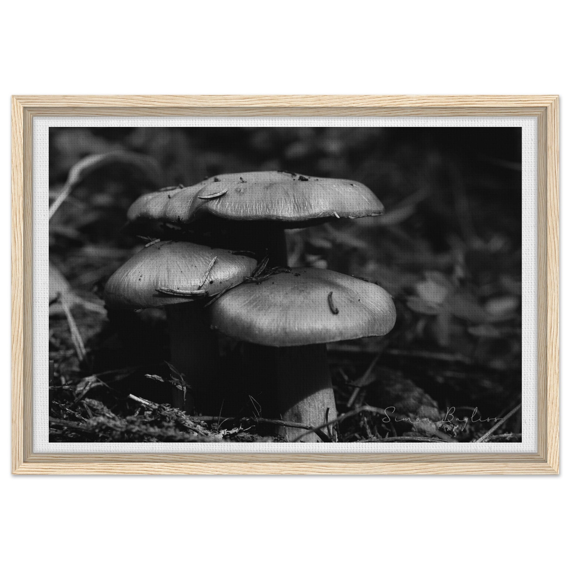 6acbef5e-a0cc-4498-9902-bd9d8482ea90