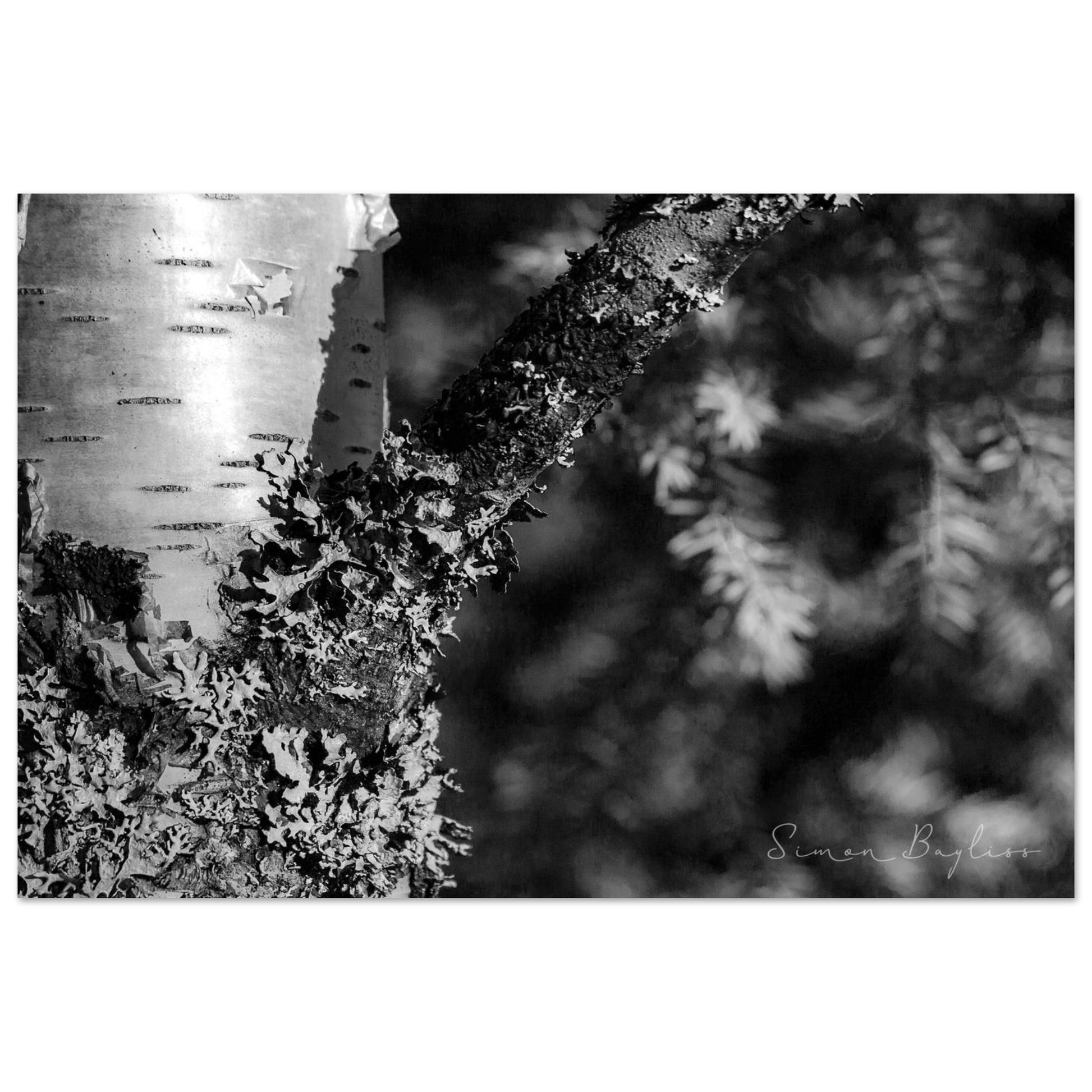 6ad6f333-2a71-4b81-8887-daf06242b32f