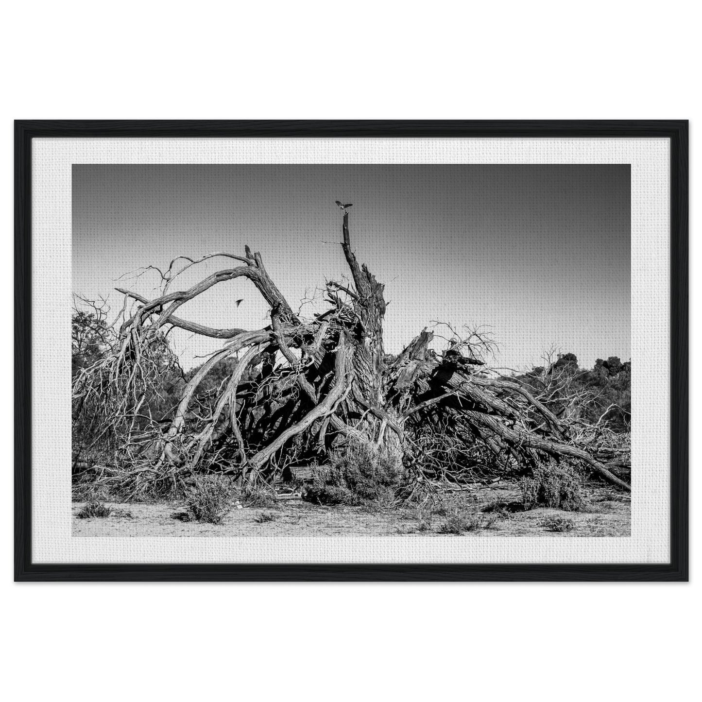 6c19c852-1dce-4b04-9fb0-2f13349ab600