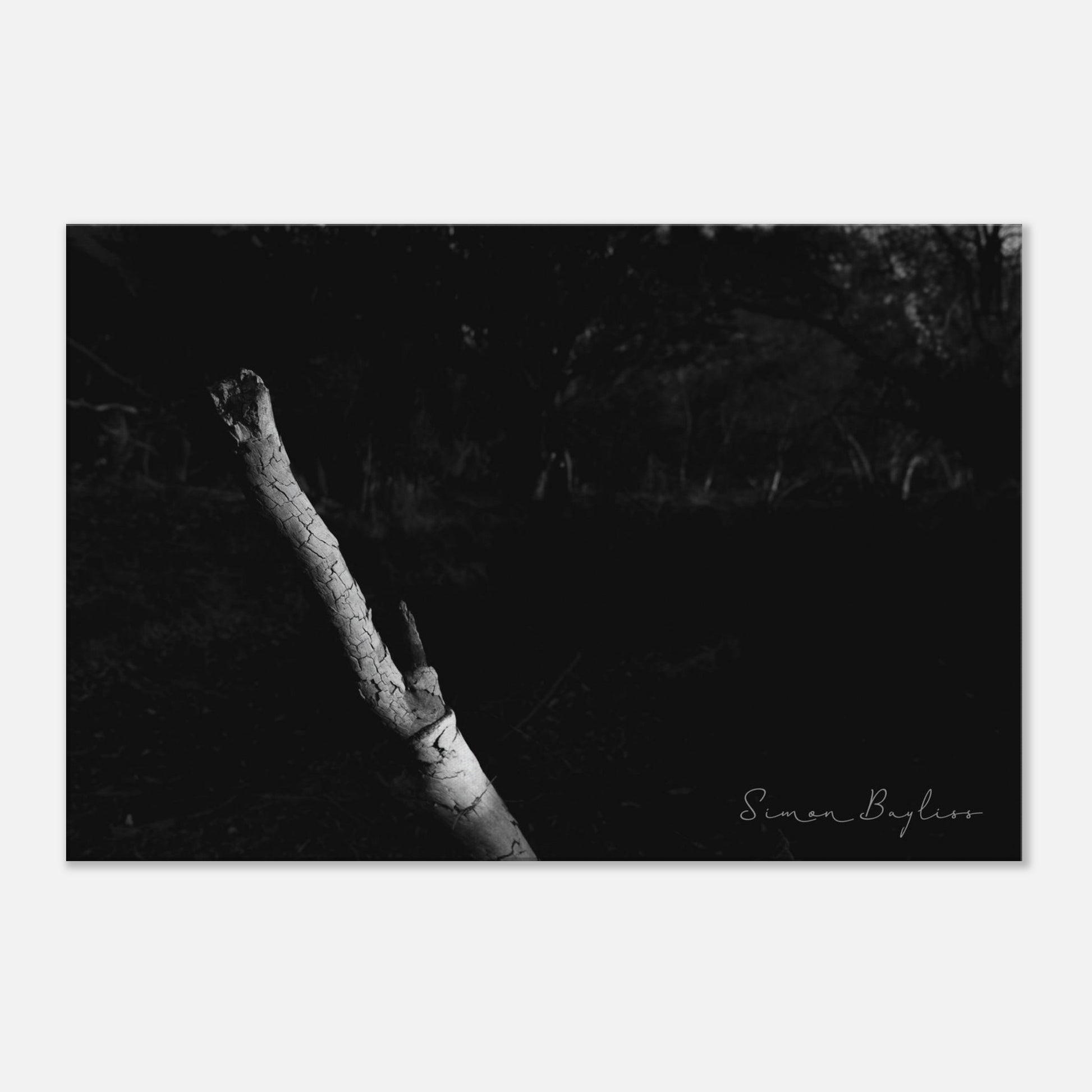 6c59823d-c460-43c9-a9ee-f9b8904ccf52