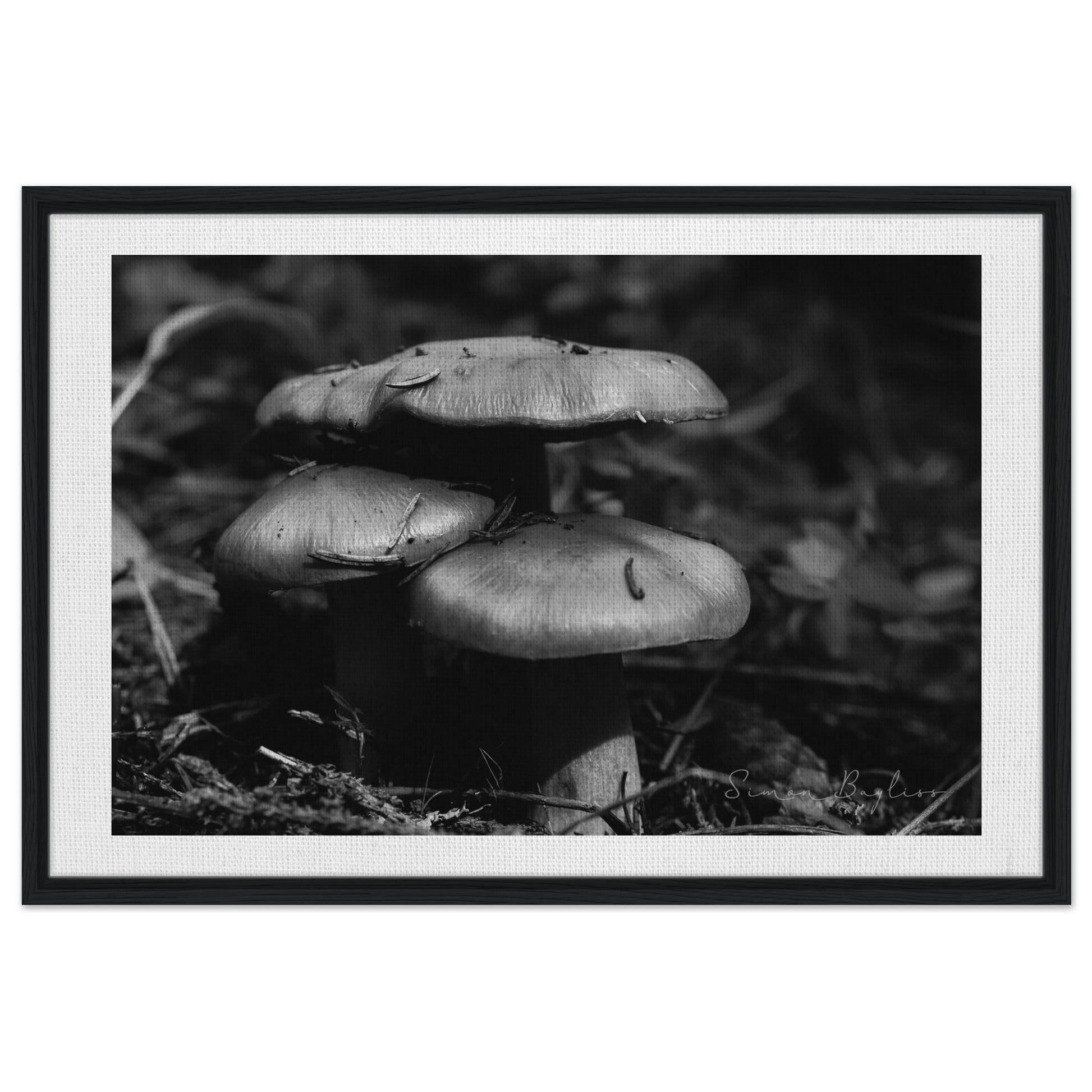 6c5daf86-e698-43a0-bfcd-5567ade6875a