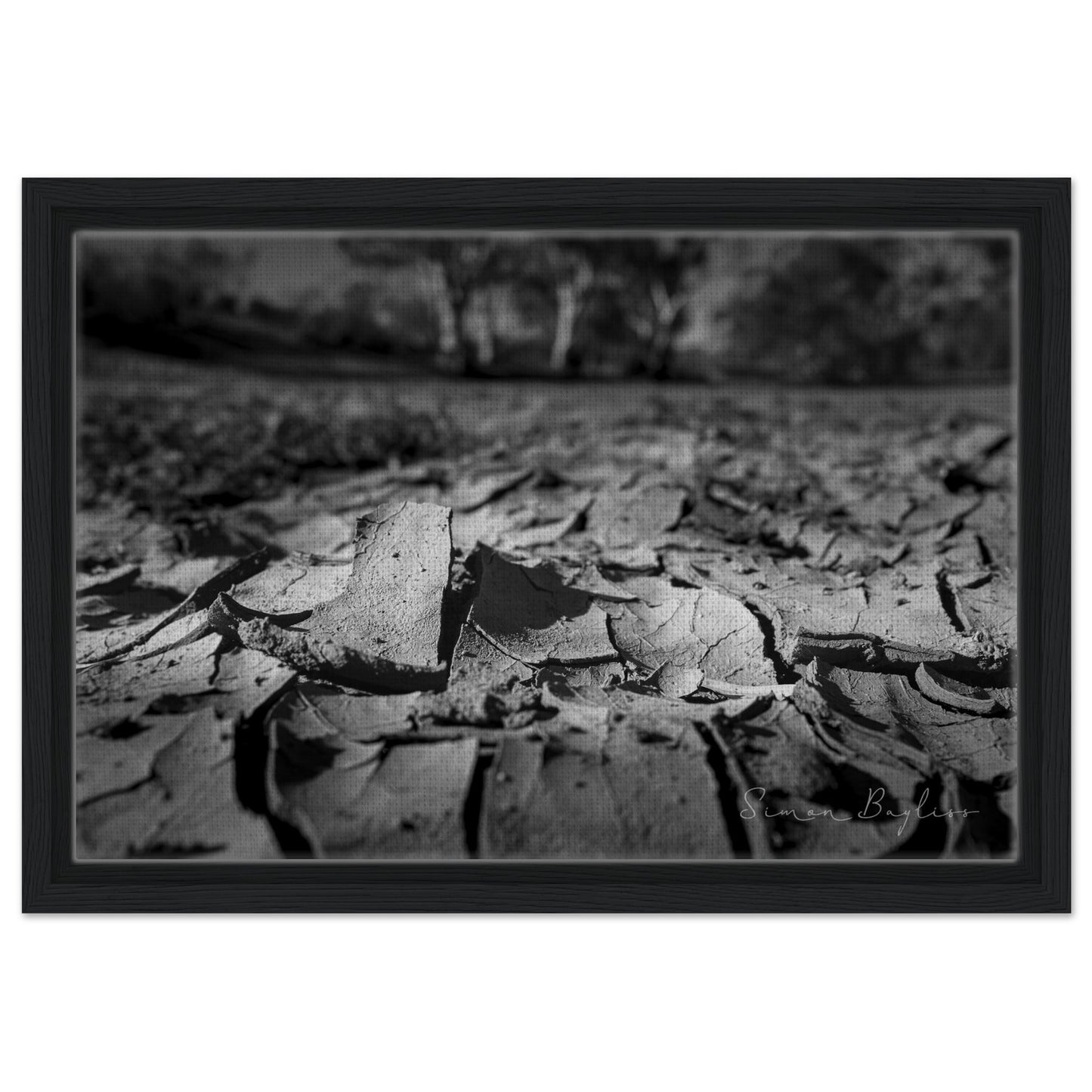 6cd476c4-62a3-436c-bcc0-40fdb25ceb28