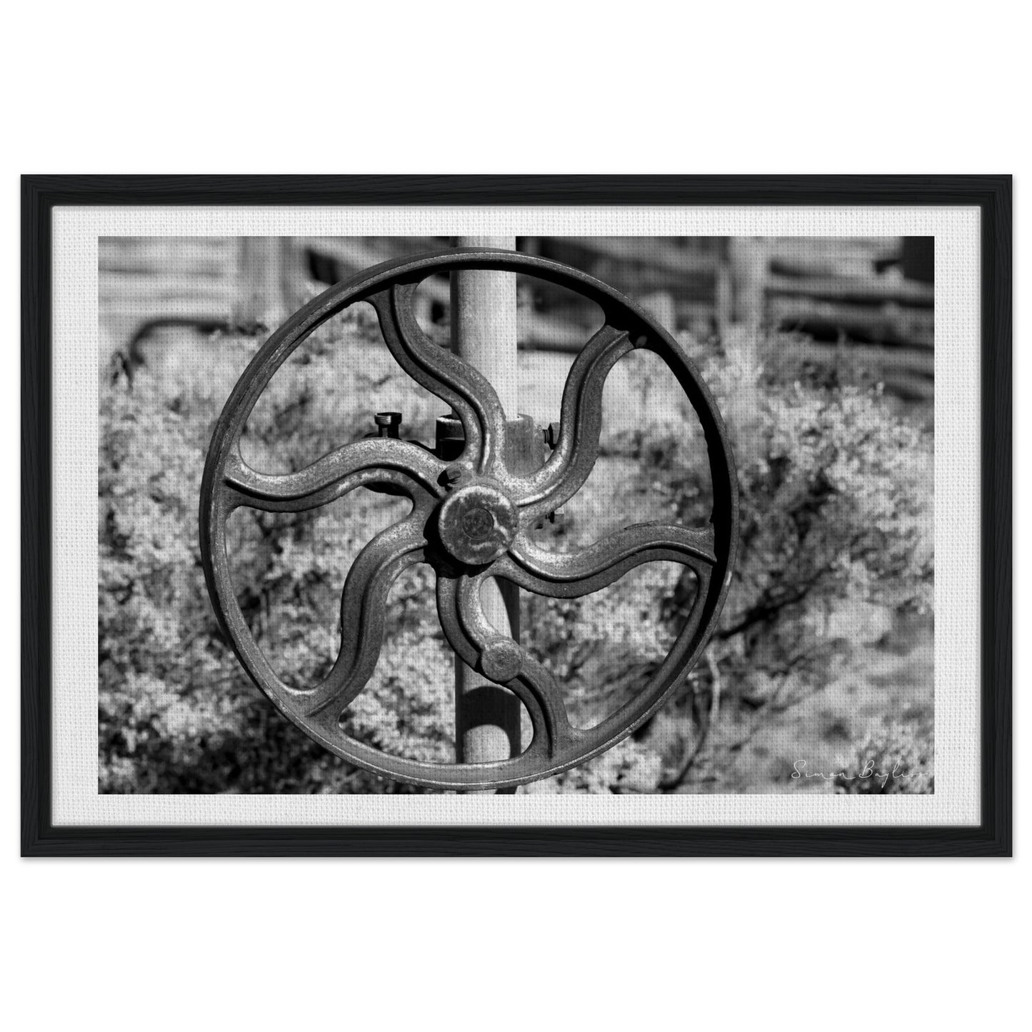 6cdd231d-04f8-43d1-a306-f1764b6ee21e