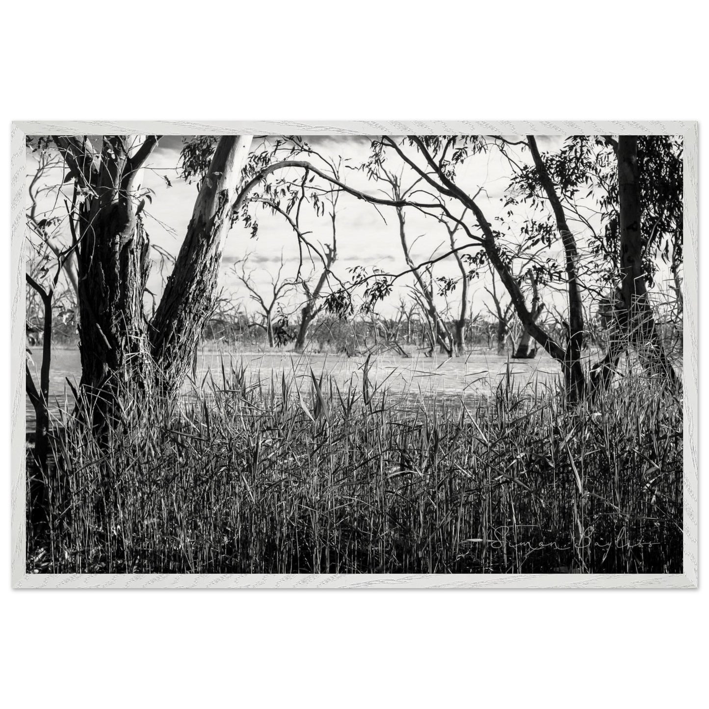 6d1ed126-41c5-48e9-8d9d-70d36c216666