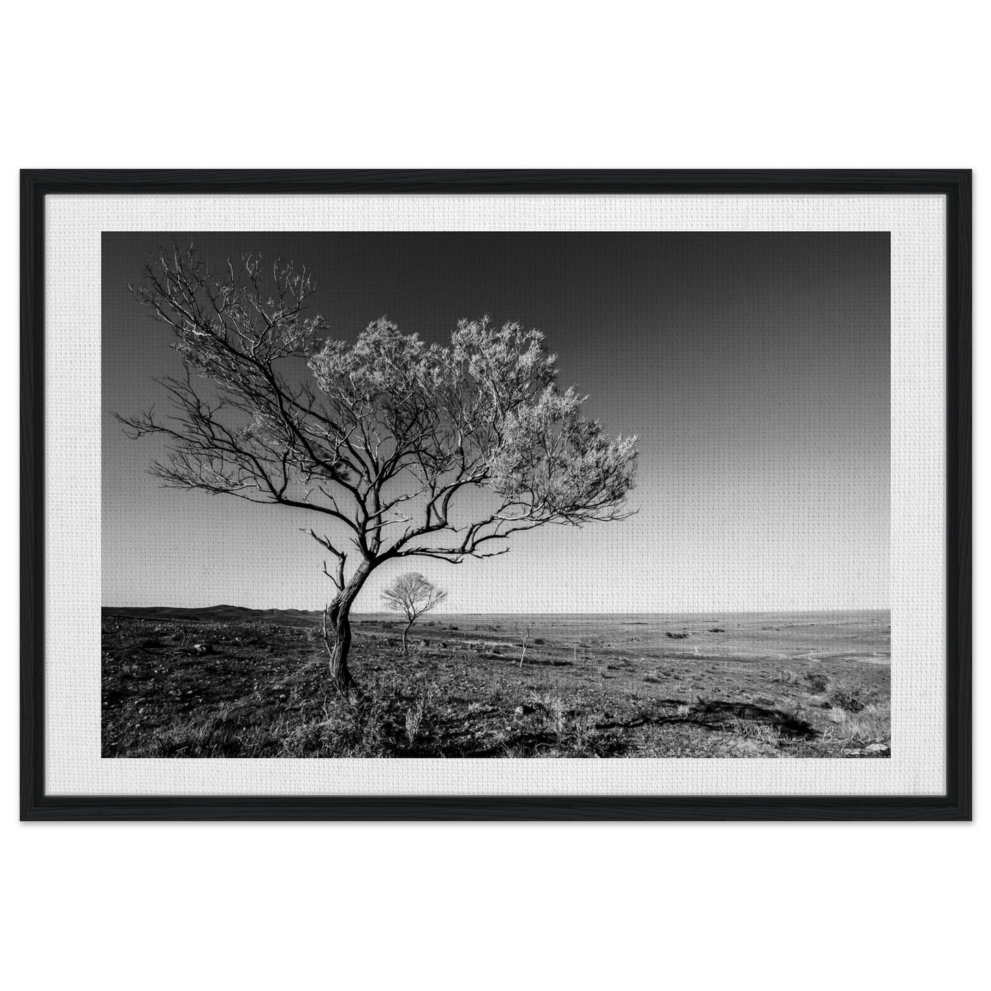 6d583dcb-ebc9-498e-8603-e5a4c08e178f