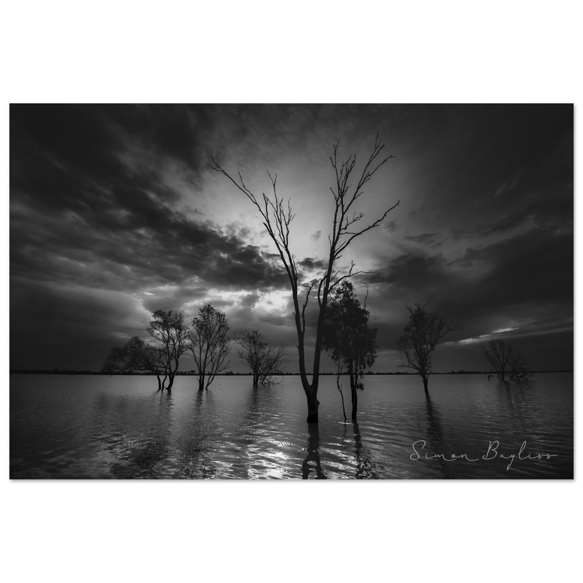 6d5ea404-6c11-4df1-9c5d-f9e85155b2d9