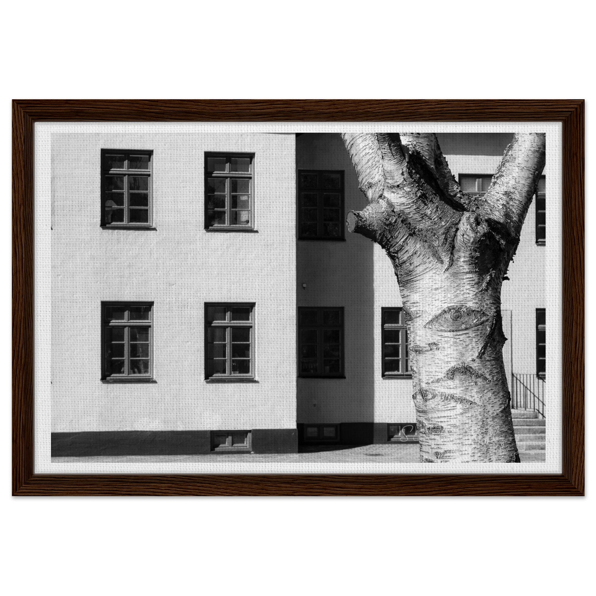 6d864218-f869-49cf-8128-76954c9dd826