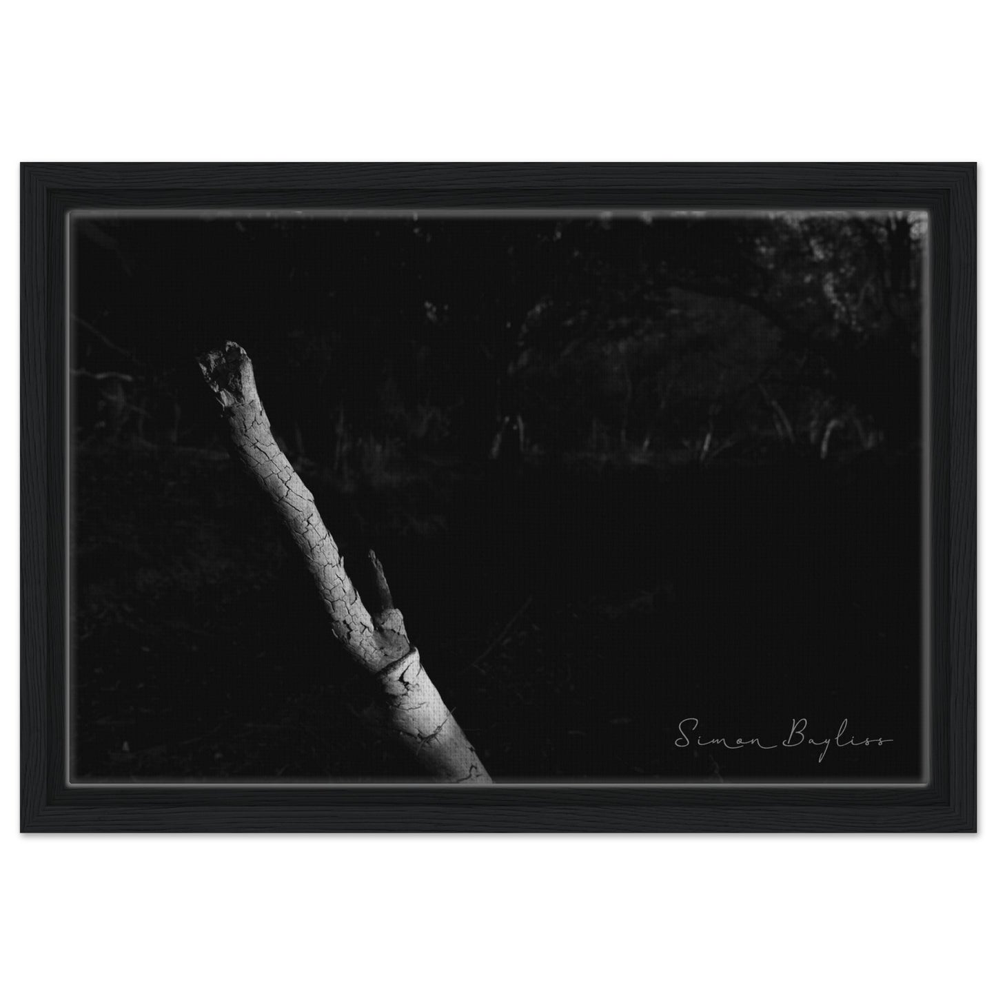 6ef055c1-6598-4f52-90f9-05fe2119e632