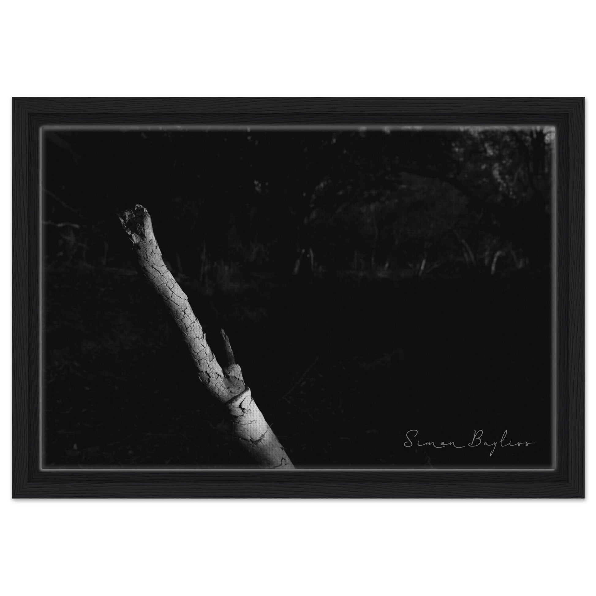 6ef055c1-6598-4f52-90f9-05fe2119e632