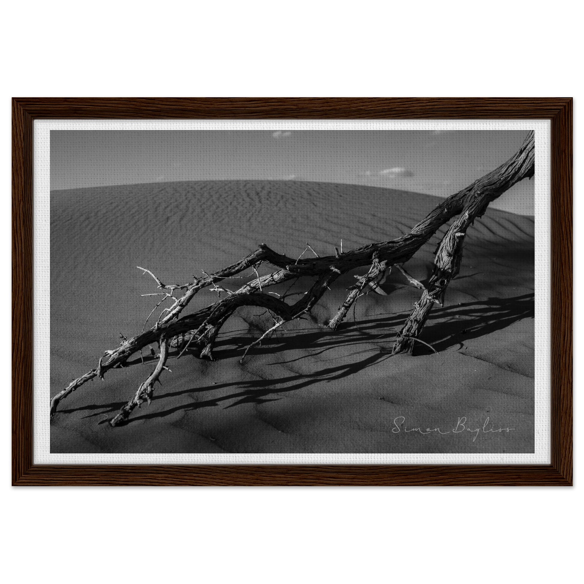 6f24daa6-e7e1-4a42-9244-bb5faff6f02a