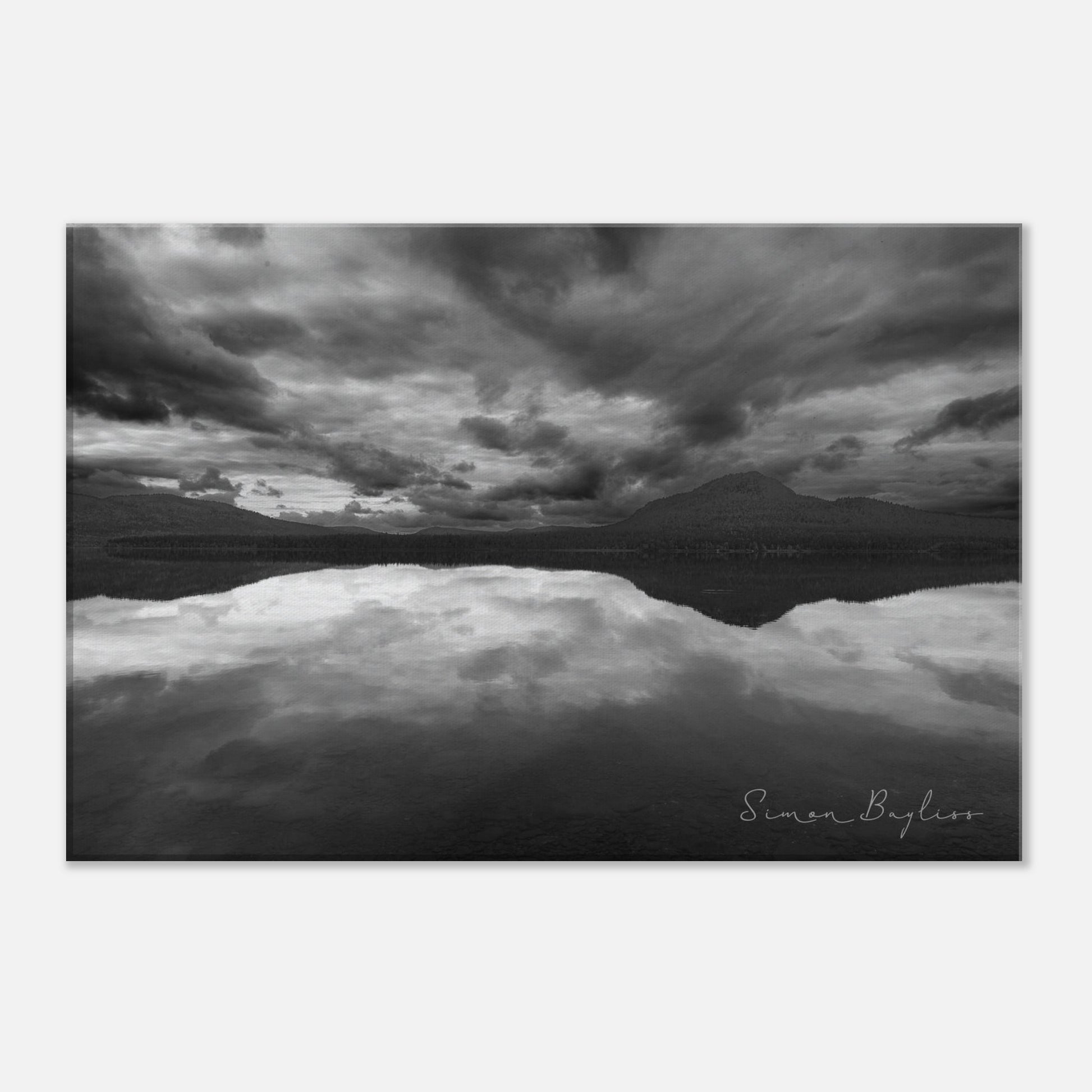 6faa0290-d768-49ed-8d4e-c128899c2901