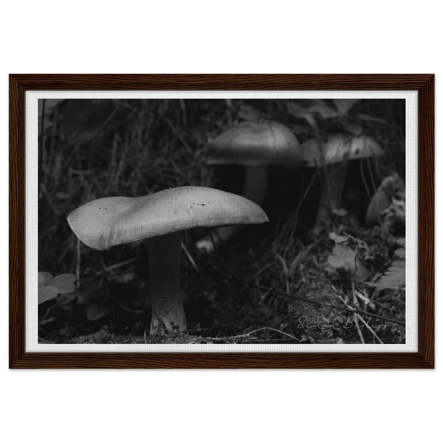 6faf899a-789c-4bb6-9241-b1fbffc9e502