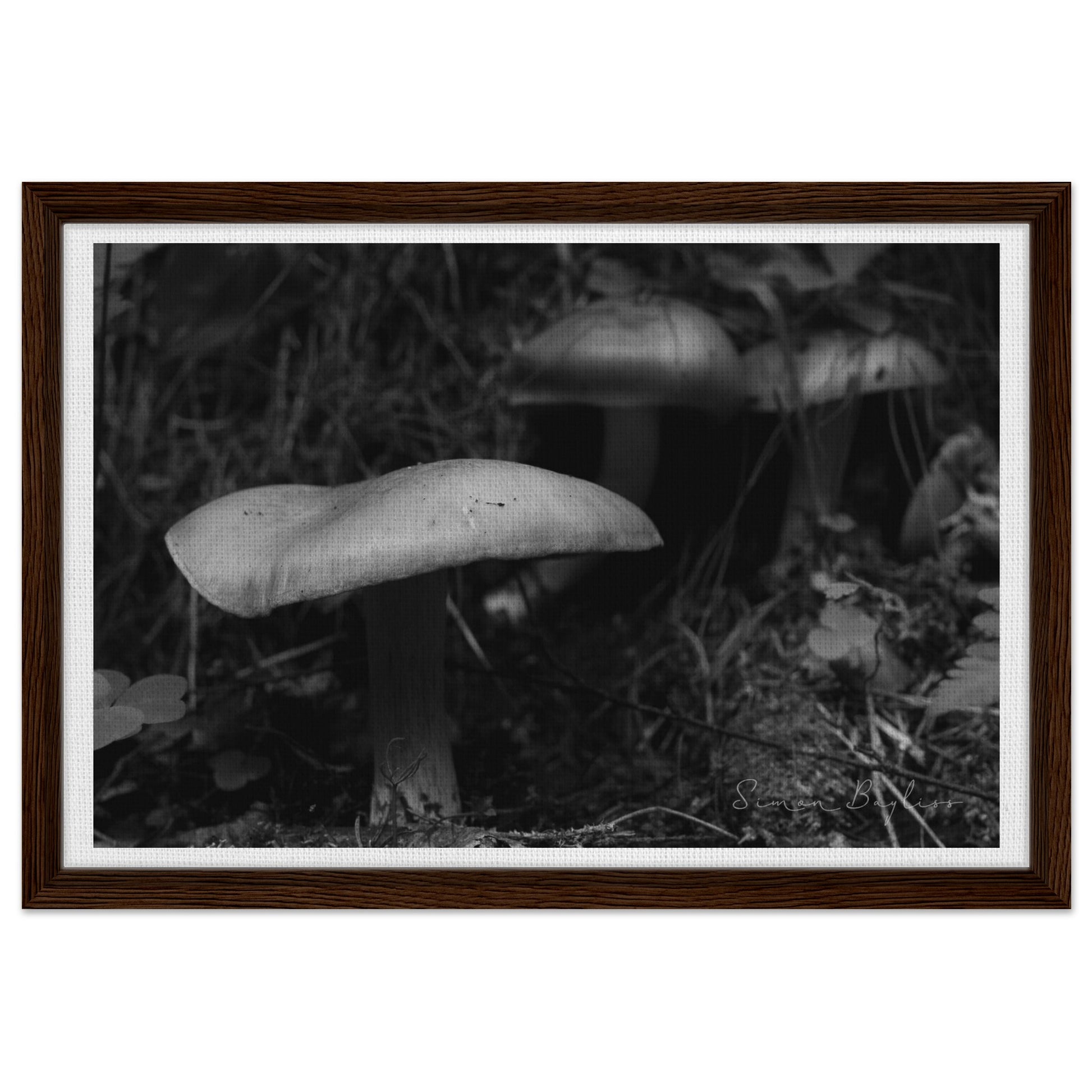 6faf899a-789c-4bb6-9241-b1fbffc9e502