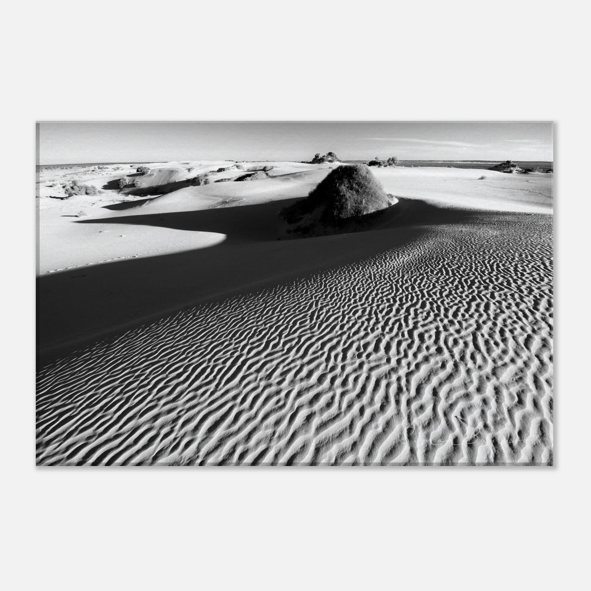 715ec2ab-12a3-4d75-ad89-484b4a65a801