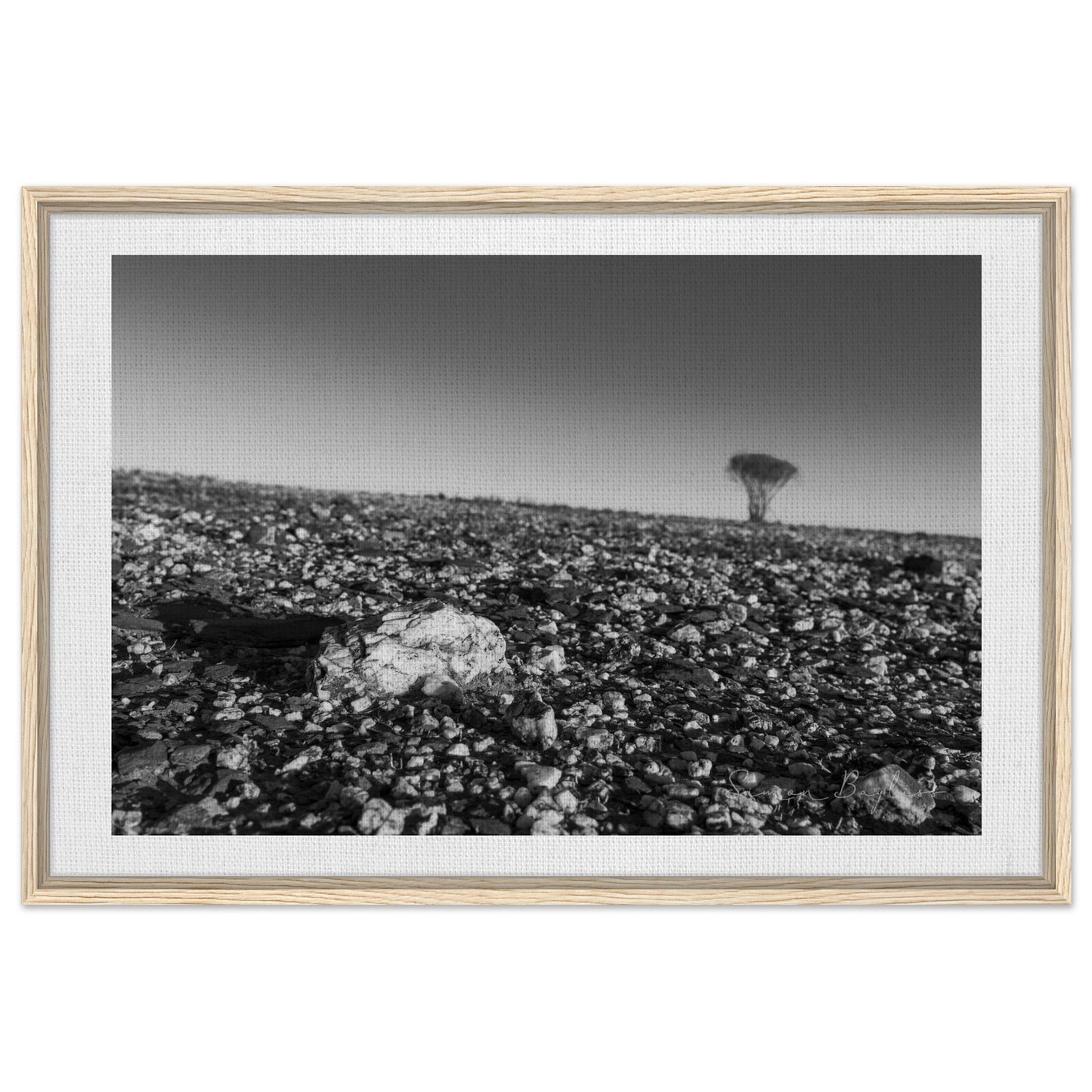 7169fe40-1774-403d-a88e-129bf9647ee2