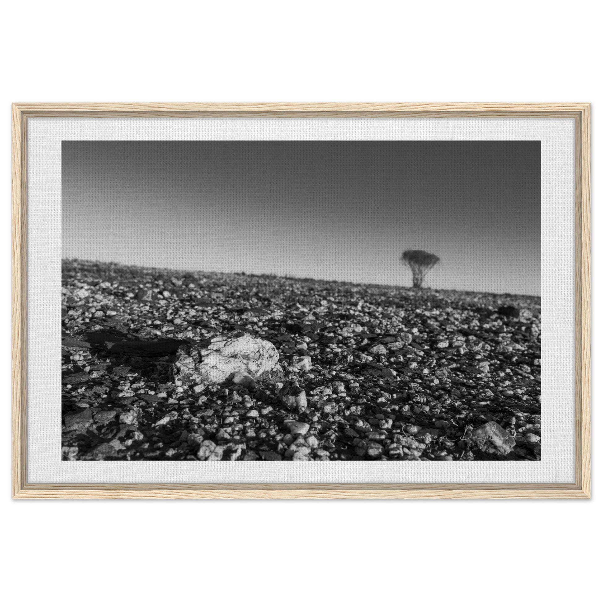 7169fe40-1774-403d-a88e-129bf9647ee2