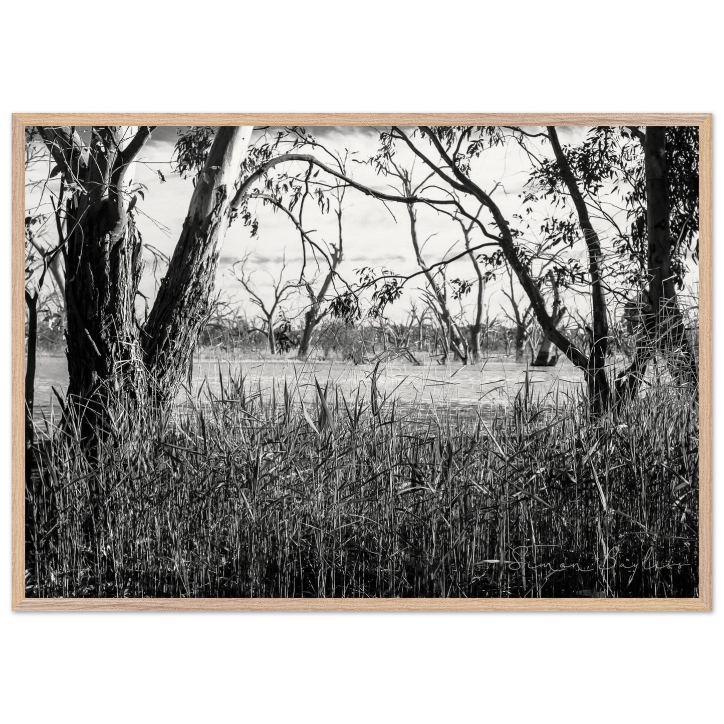 71ac583f-eaa5-4608-999b-4951c4a59211