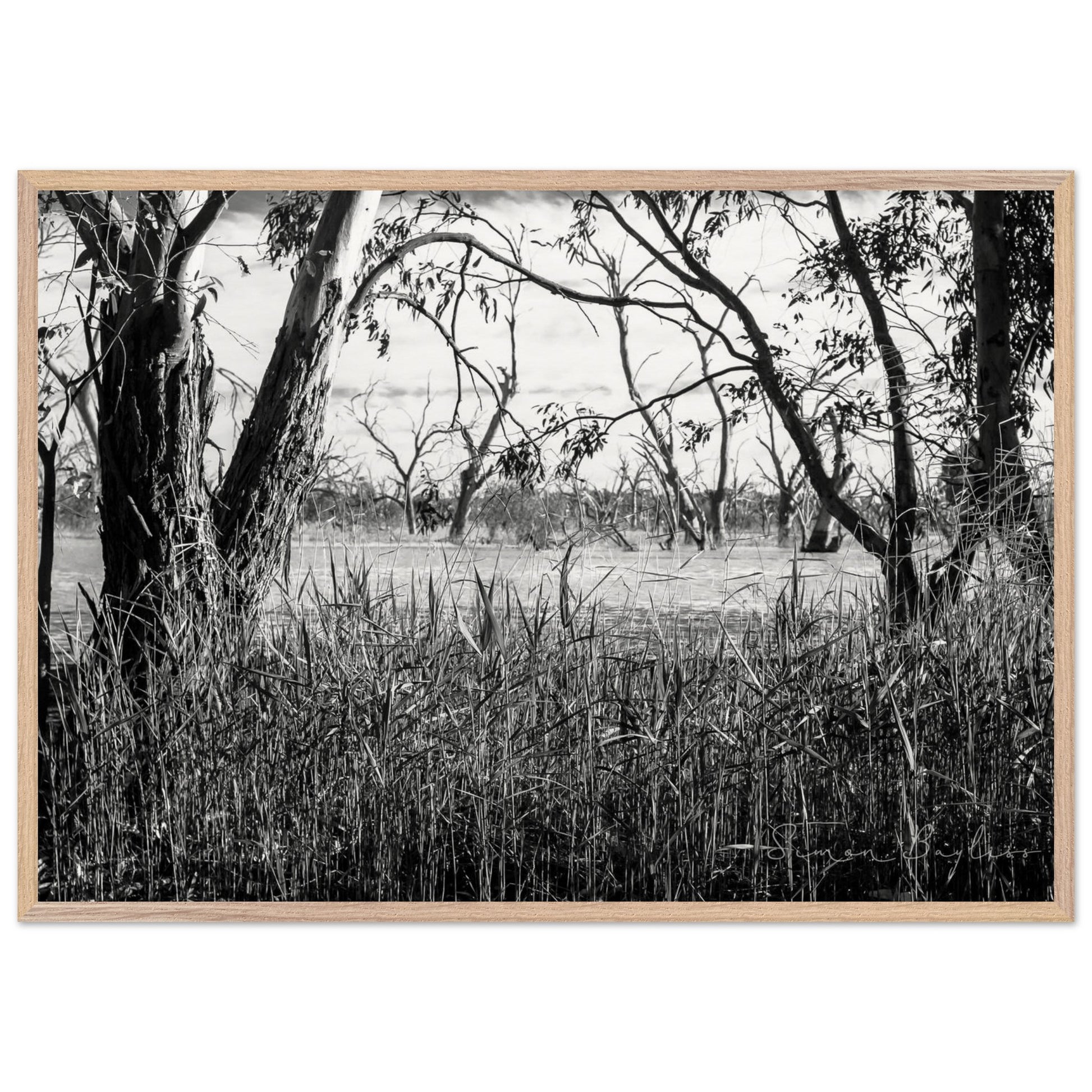 71ac583f-eaa5-4608-999b-4951c4a59211