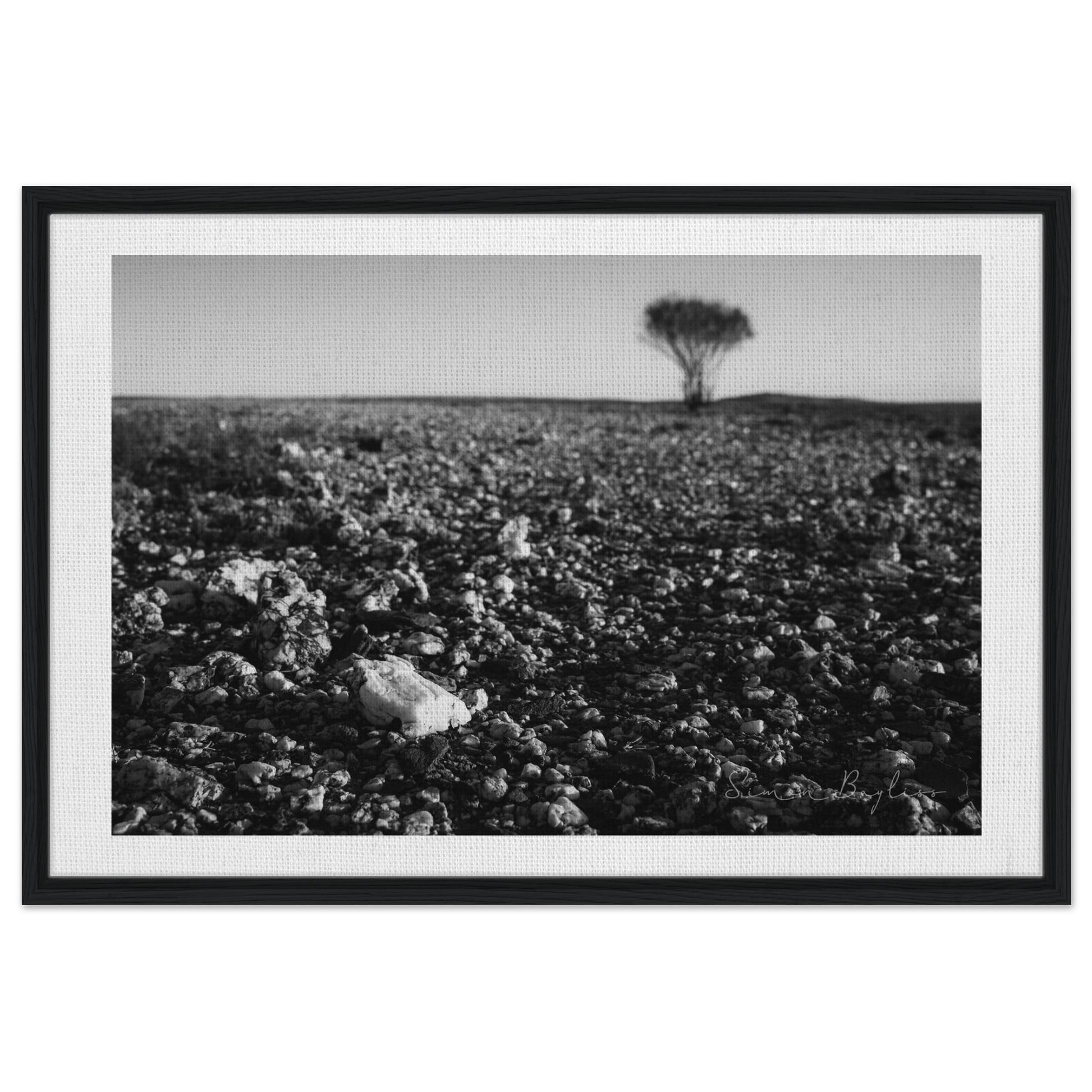 71b8d098-af86-44c8-a931-d7619de5f849