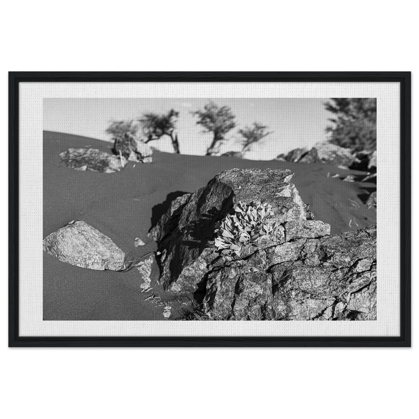 72d7cce2-5965-4c47-b13c-ea7f58b580b7