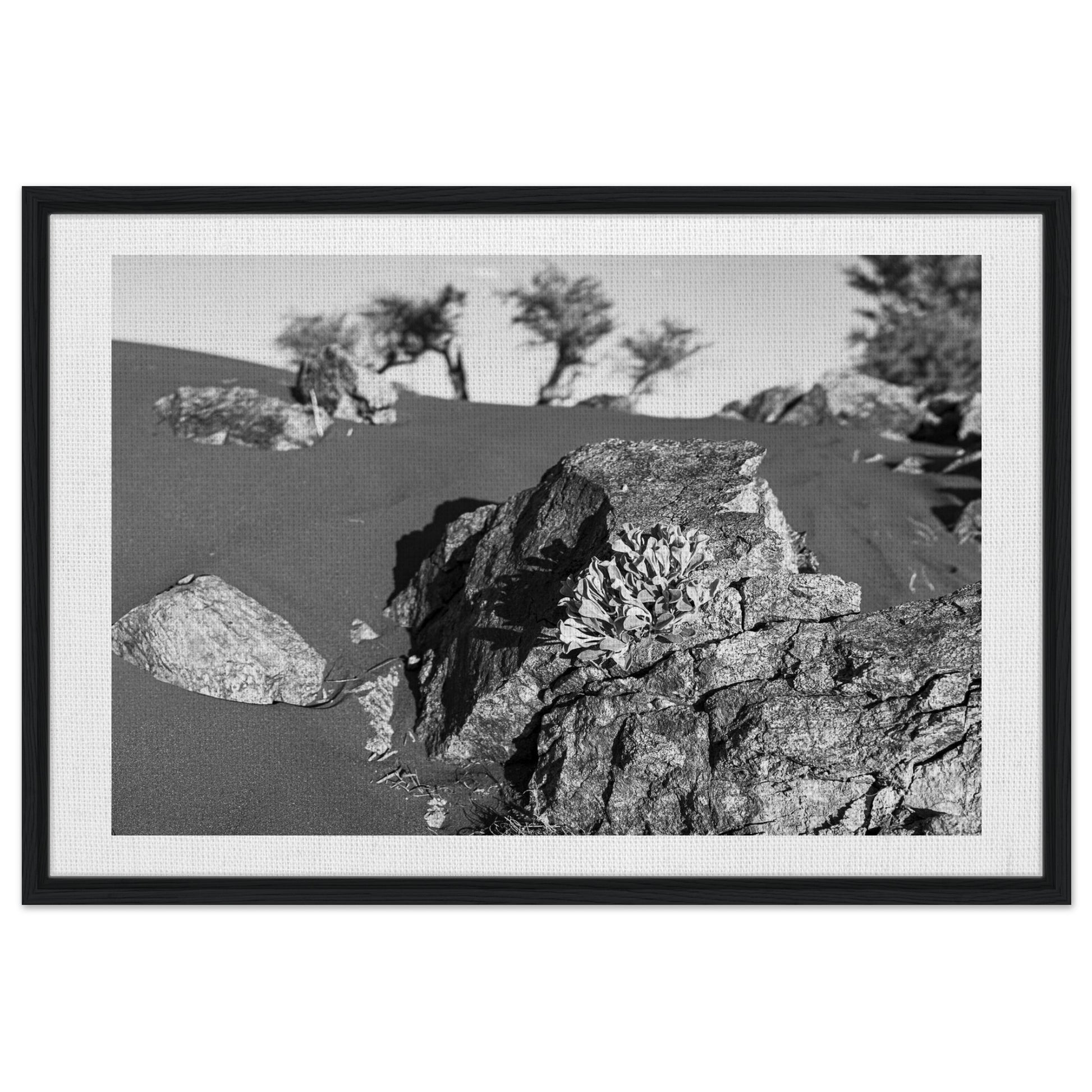 72d7cce2-5965-4c47-b13c-ea7f58b580b7