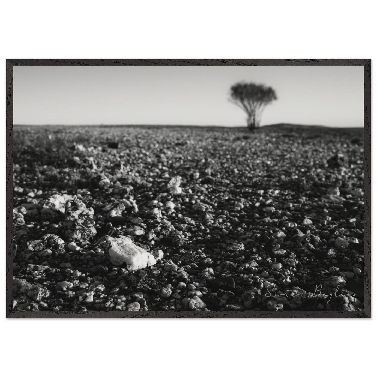 72f43d61-d3f9-4ab5-88f9-9d35f0f1dacf