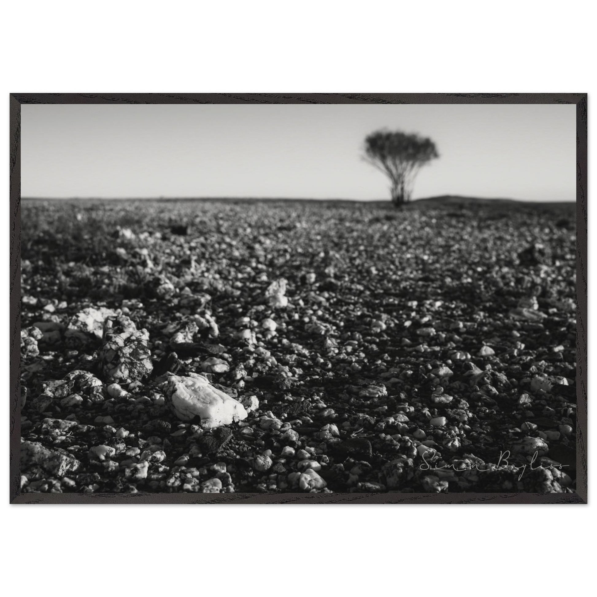 72f43d61-d3f9-4ab5-88f9-9d35f0f1dacf