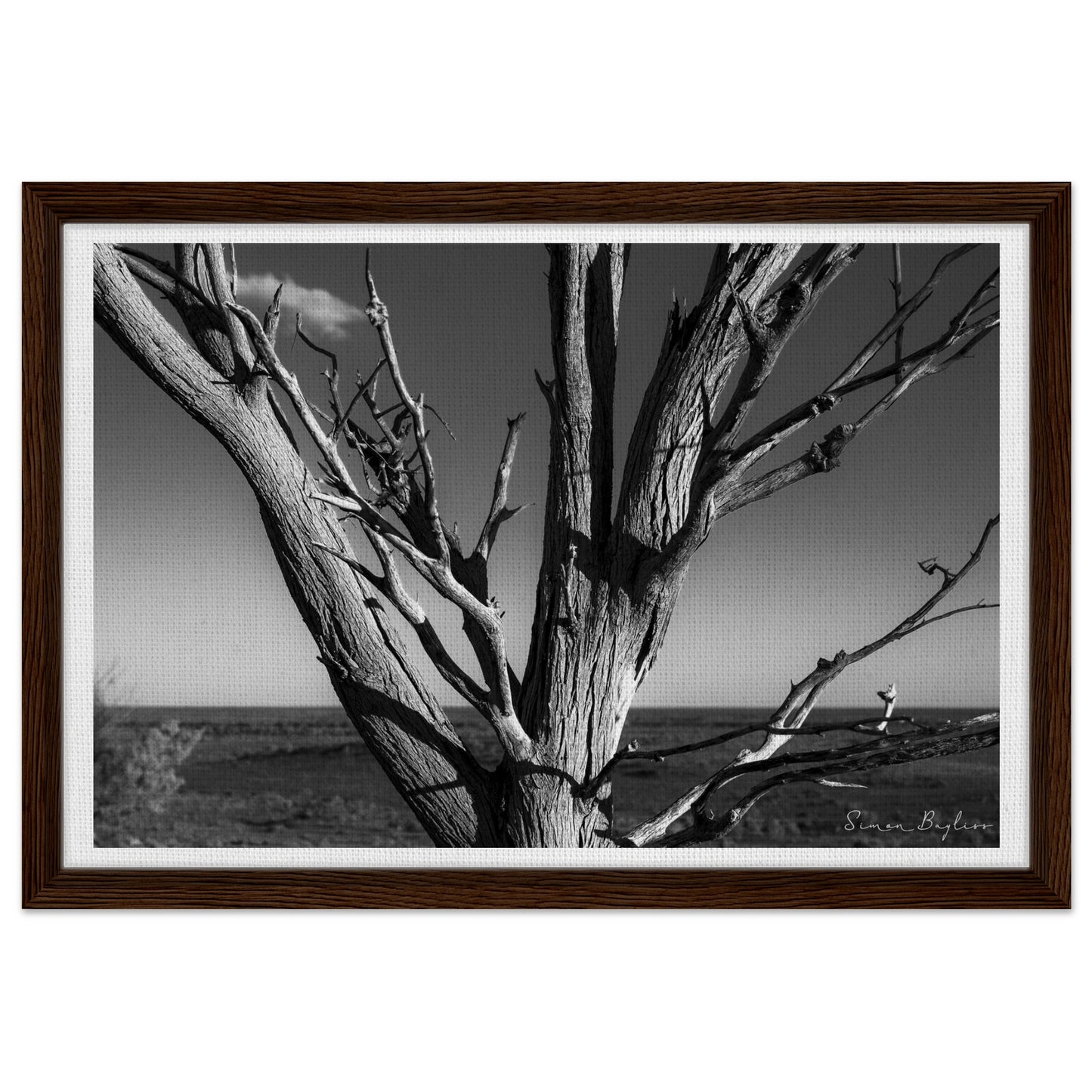 733faa0f-9f64-474a-b45c-2e4a7a5bcb11