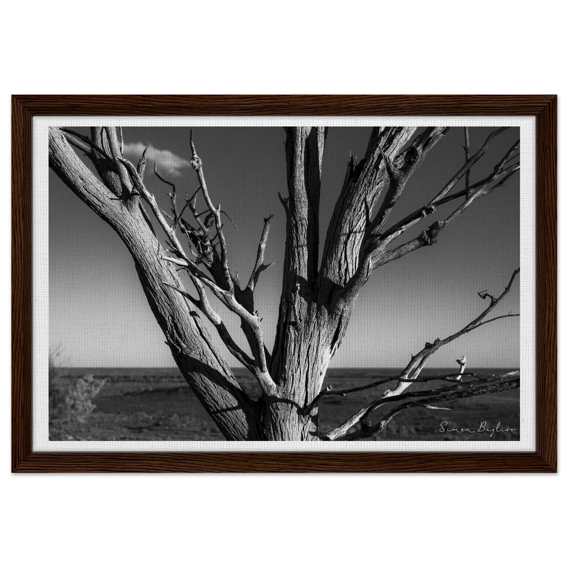 733faa0f-9f64-474a-b45c-2e4a7a5bcb11