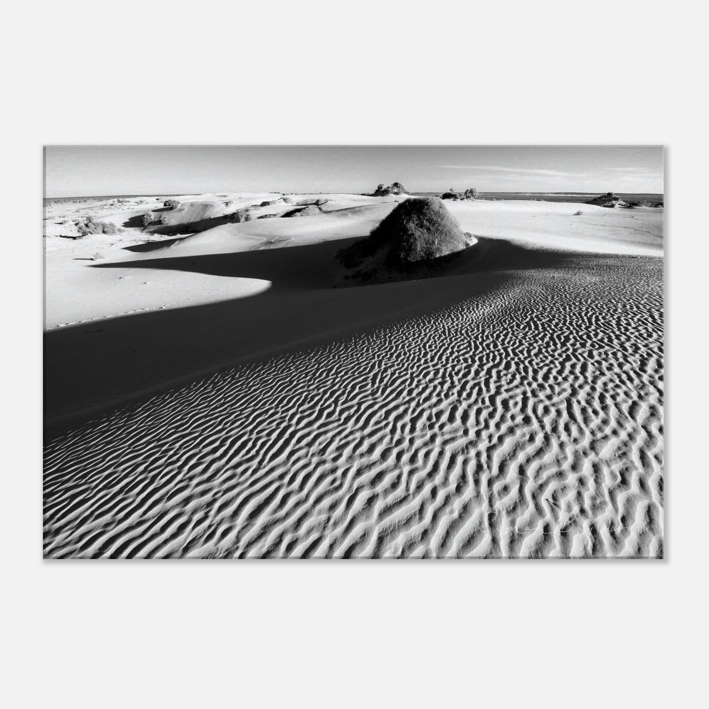 7427a3bb-f6f7-4e06-906a-e2212a2a3a02