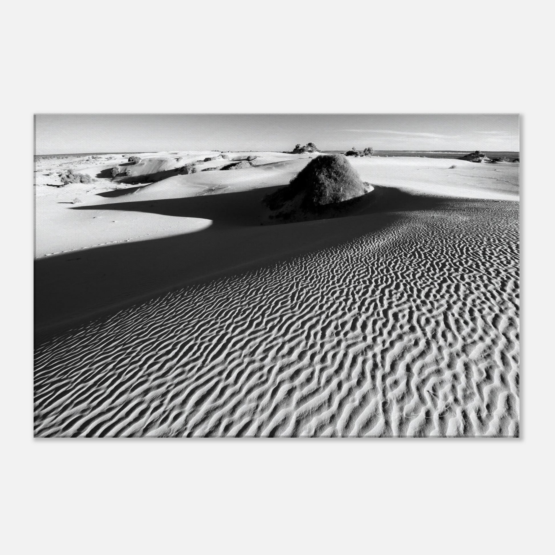 7427a3bb-f6f7-4e06-906a-e2212a2a3a02