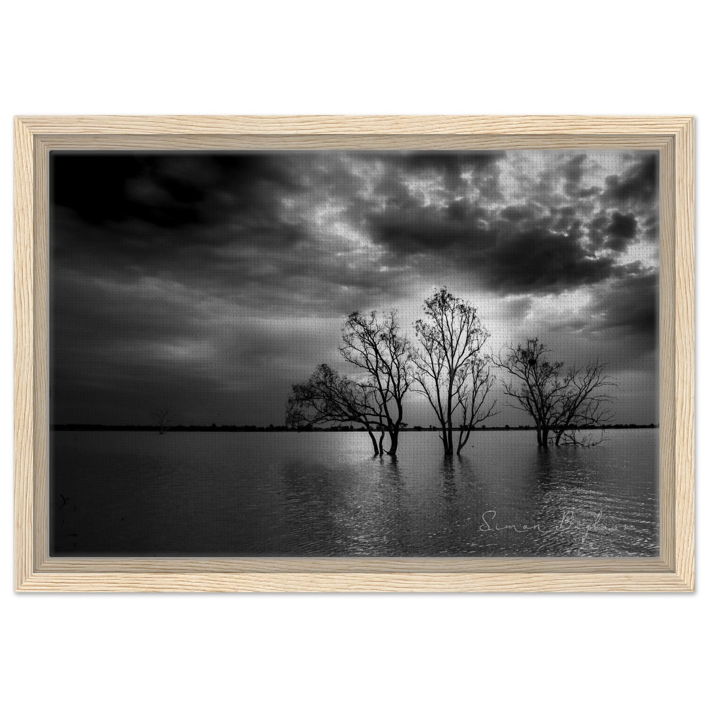 750603f1-fa9d-44da-afd2-e524e11a4c95