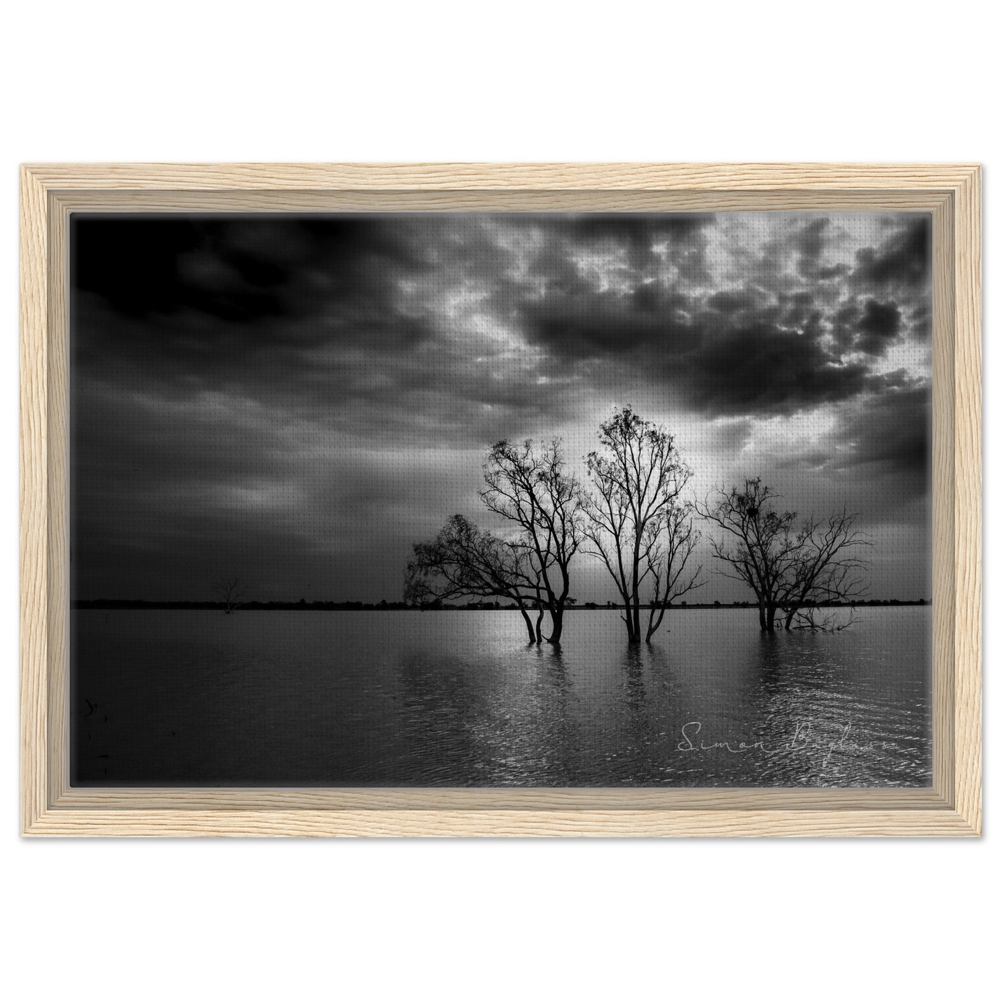 750603f1-fa9d-44da-afd2-e524e11a4c95