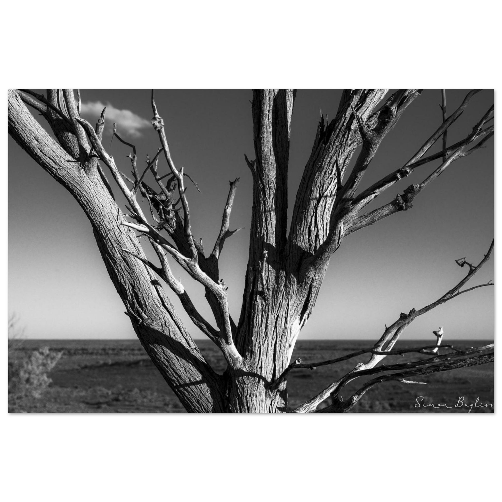 759c26e1-f228-44f6-a925-6bc60eb2055a