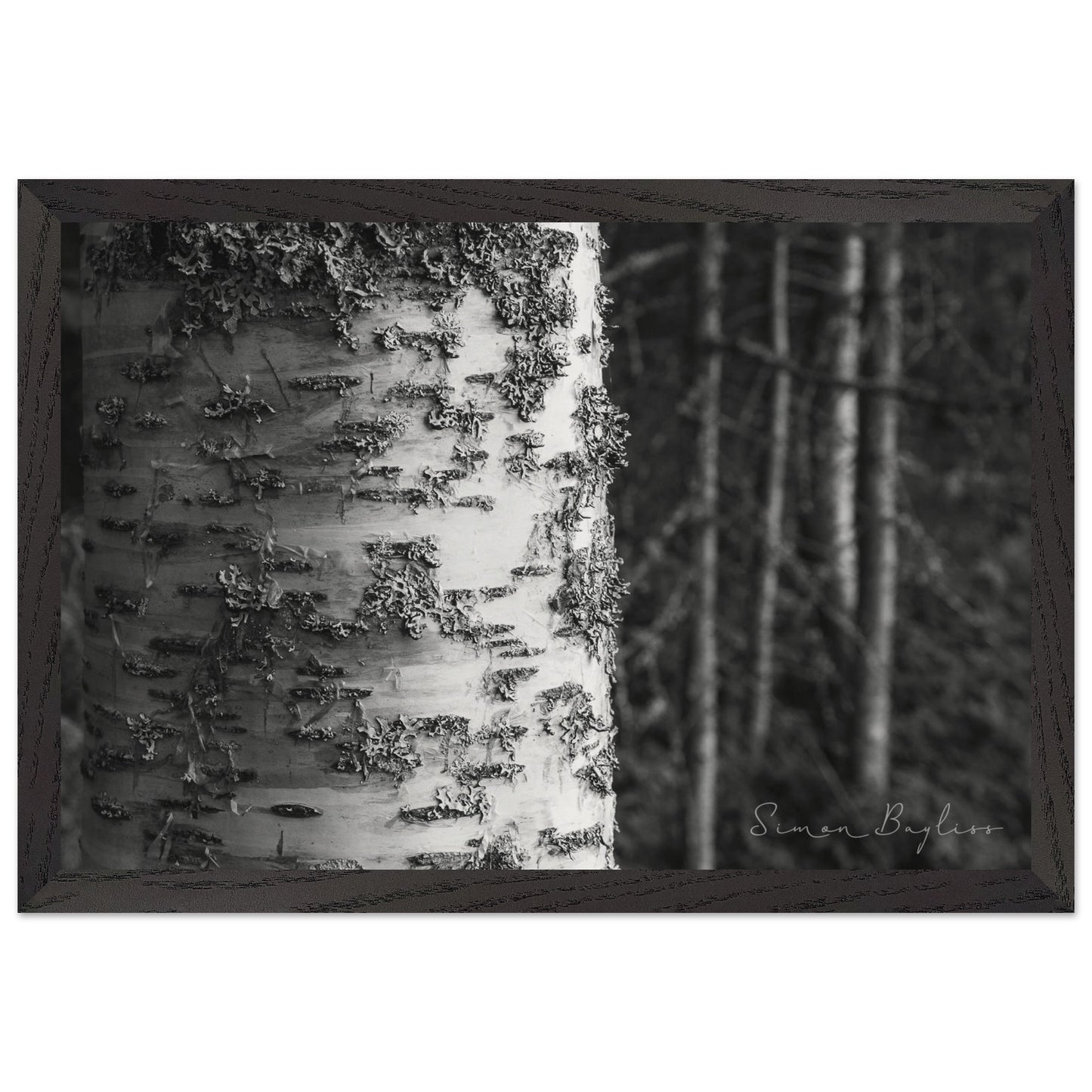 767a3562-336c-459c-ae8c-5f2a22ee3c94