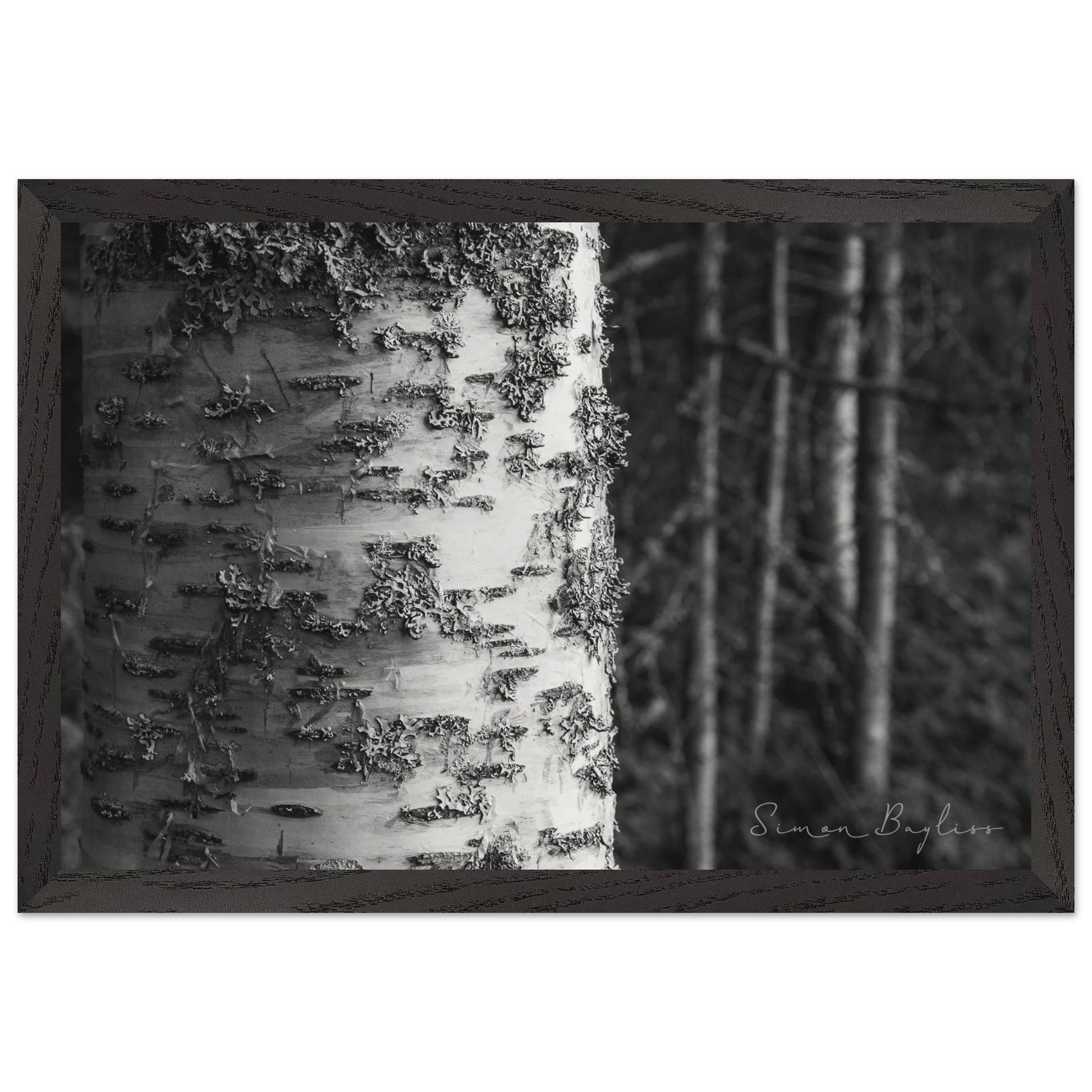 767a3562-336c-459c-ae8c-5f2a22ee3c94