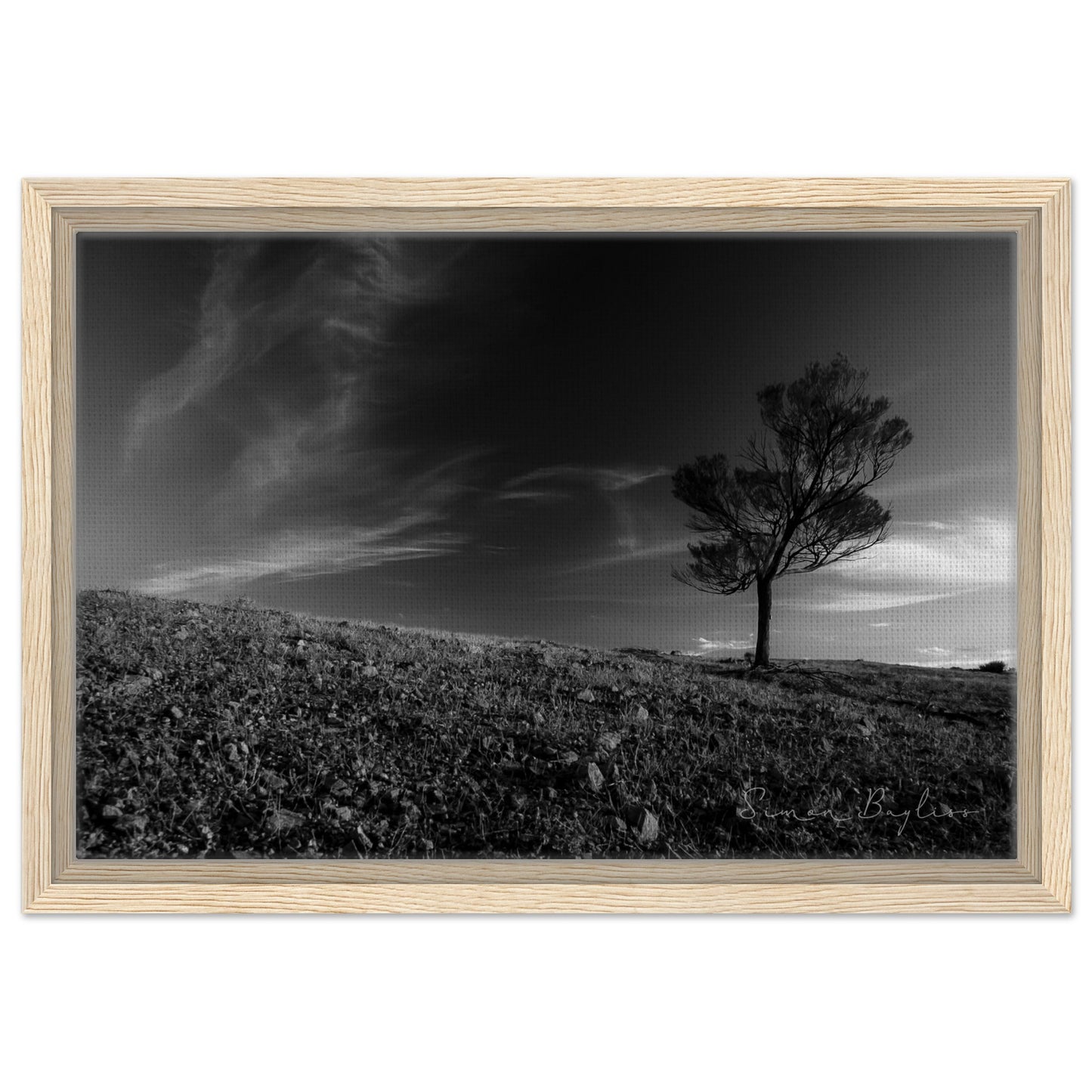 76b78564-69a9-48a2-bf06-72d9dc4e7714