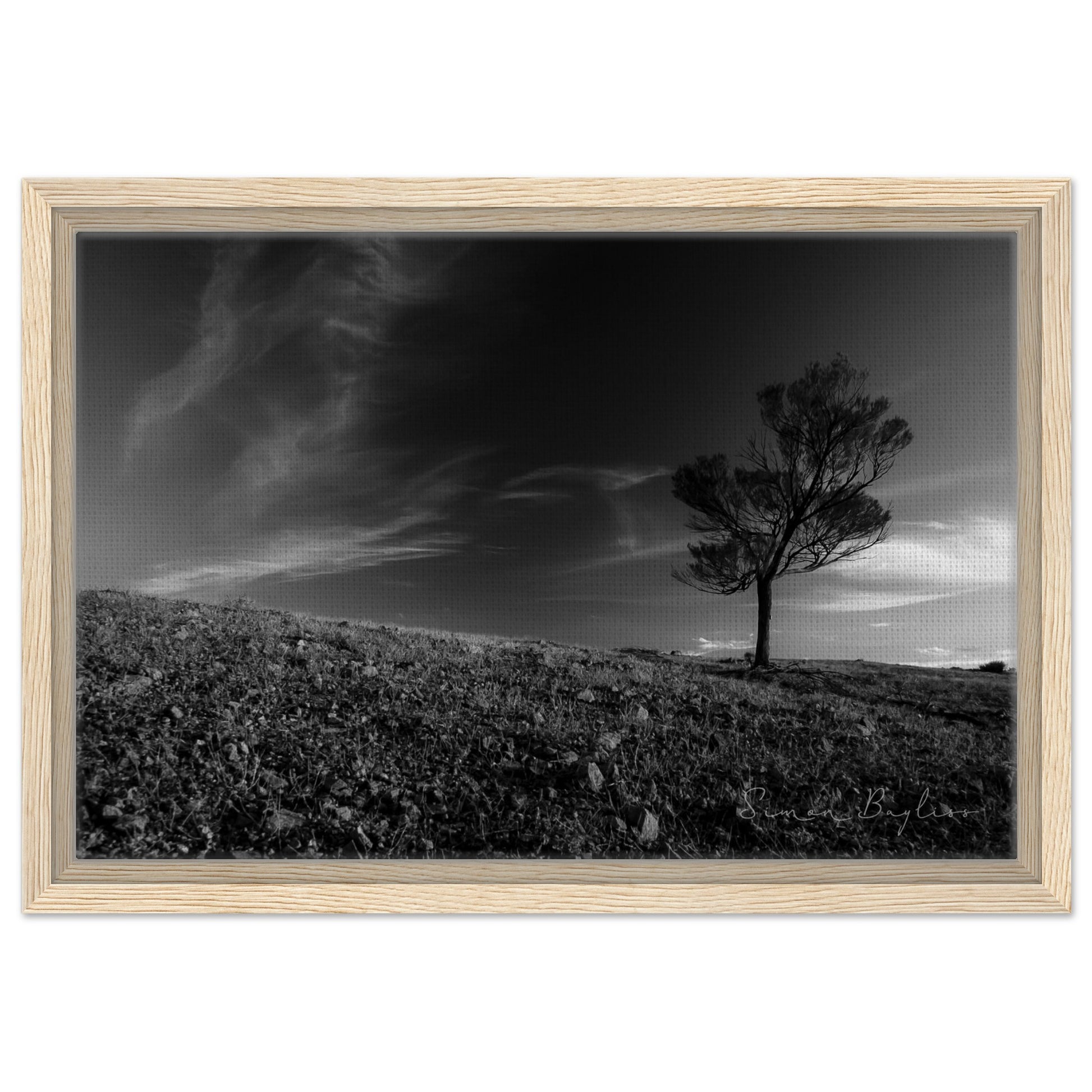 76b78564-69a9-48a2-bf06-72d9dc4e7714