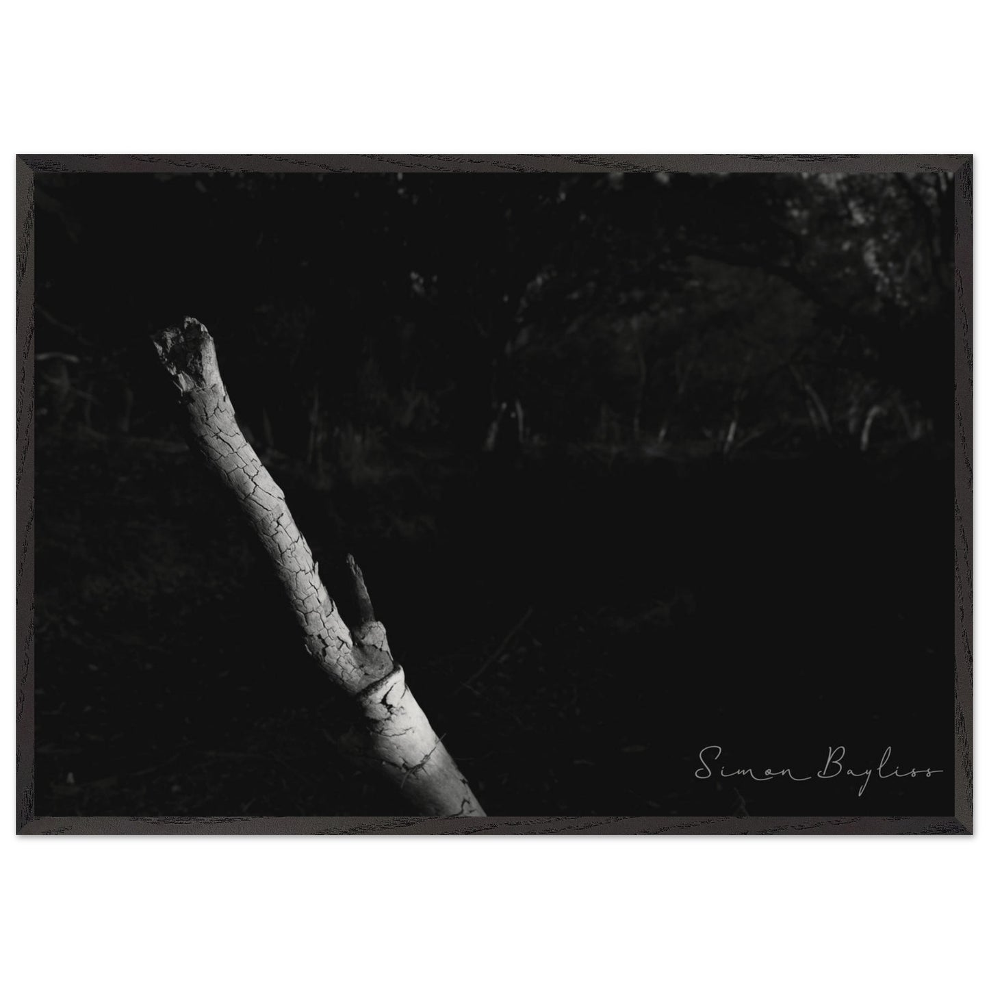 76fef22a-4bbc-4540-8a78-6391d00fd877