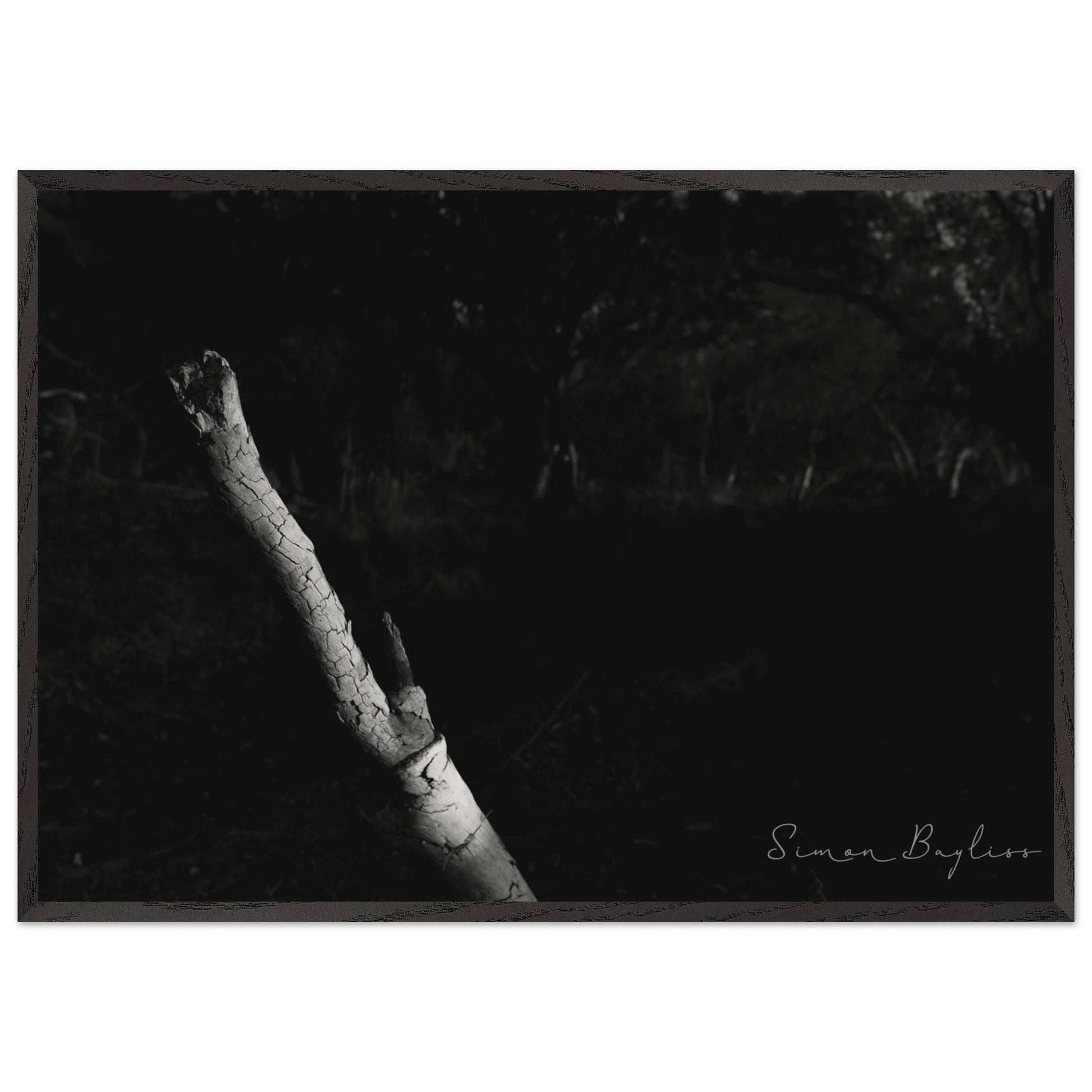 76fef22a-4bbc-4540-8a78-6391d00fd877