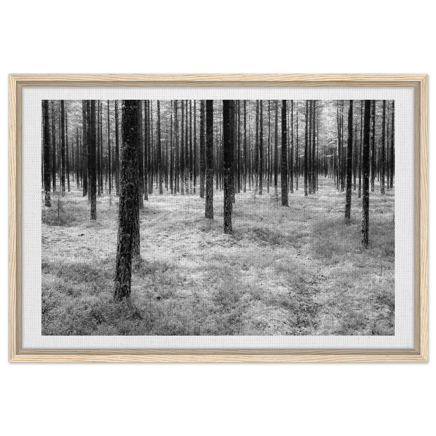 770bfa5c-e5e4-4fcf-b7d2-4bb164adf181