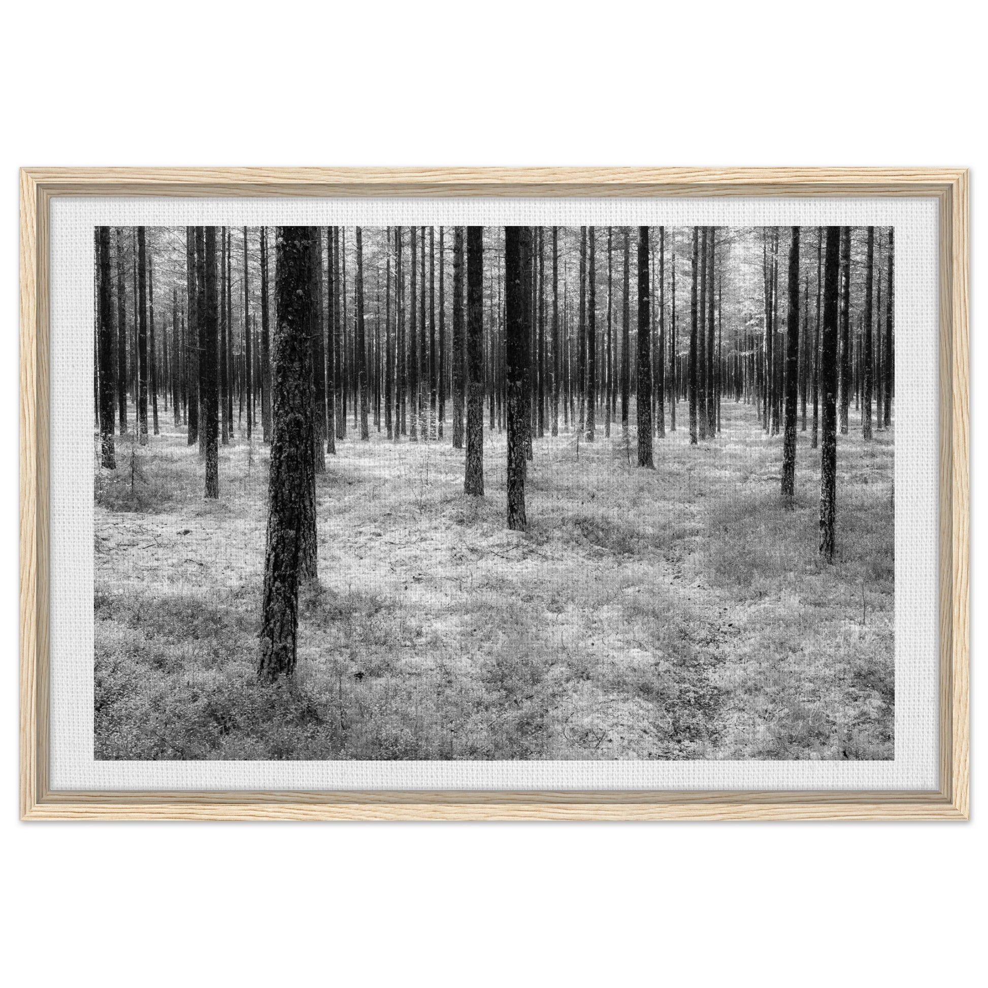 770bfa5c-e5e4-4fcf-b7d2-4bb164adf181