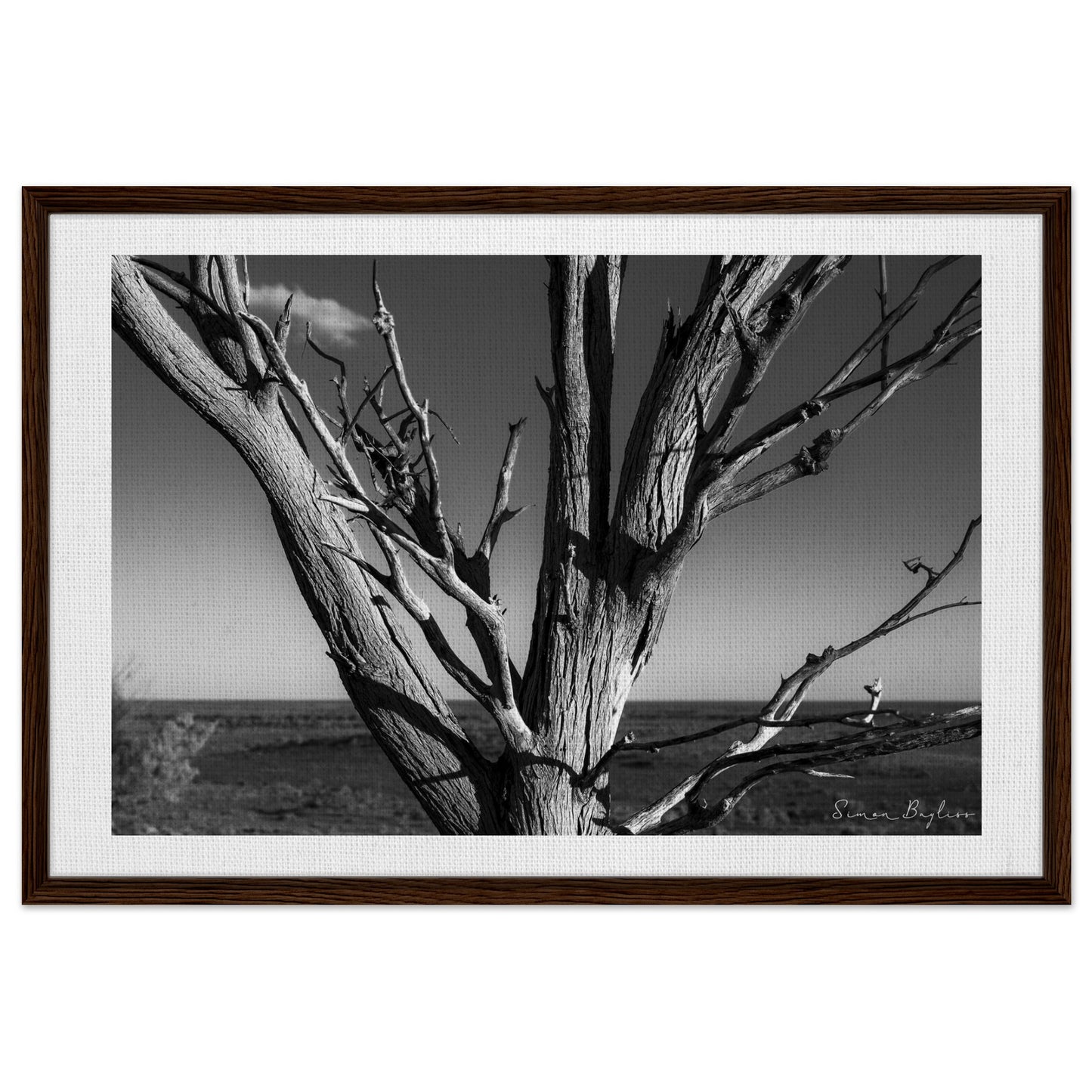 772282a1-b8eb-48a3-a7a5-13c71cbe25b4