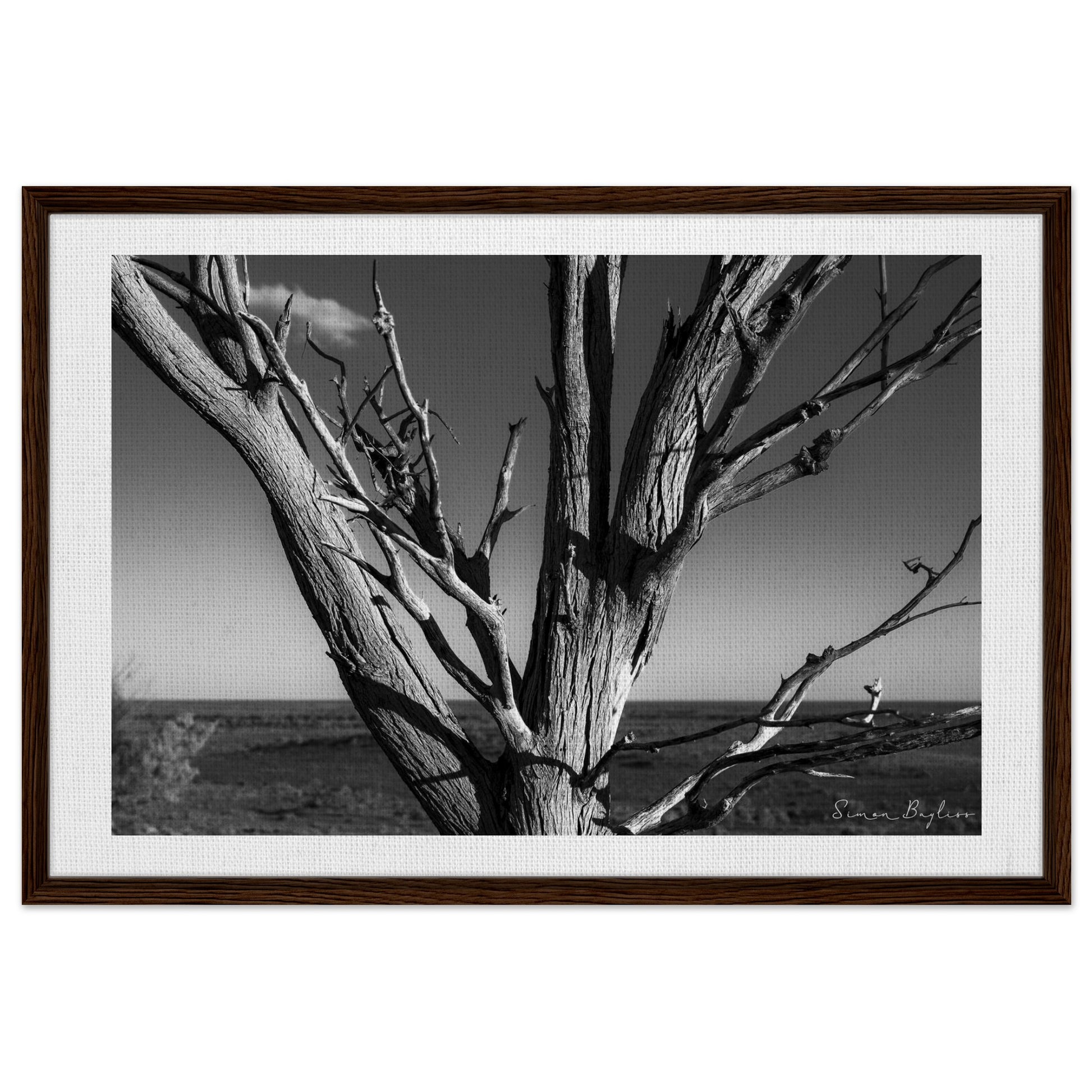 772282a1-b8eb-48a3-a7a5-13c71cbe25b4