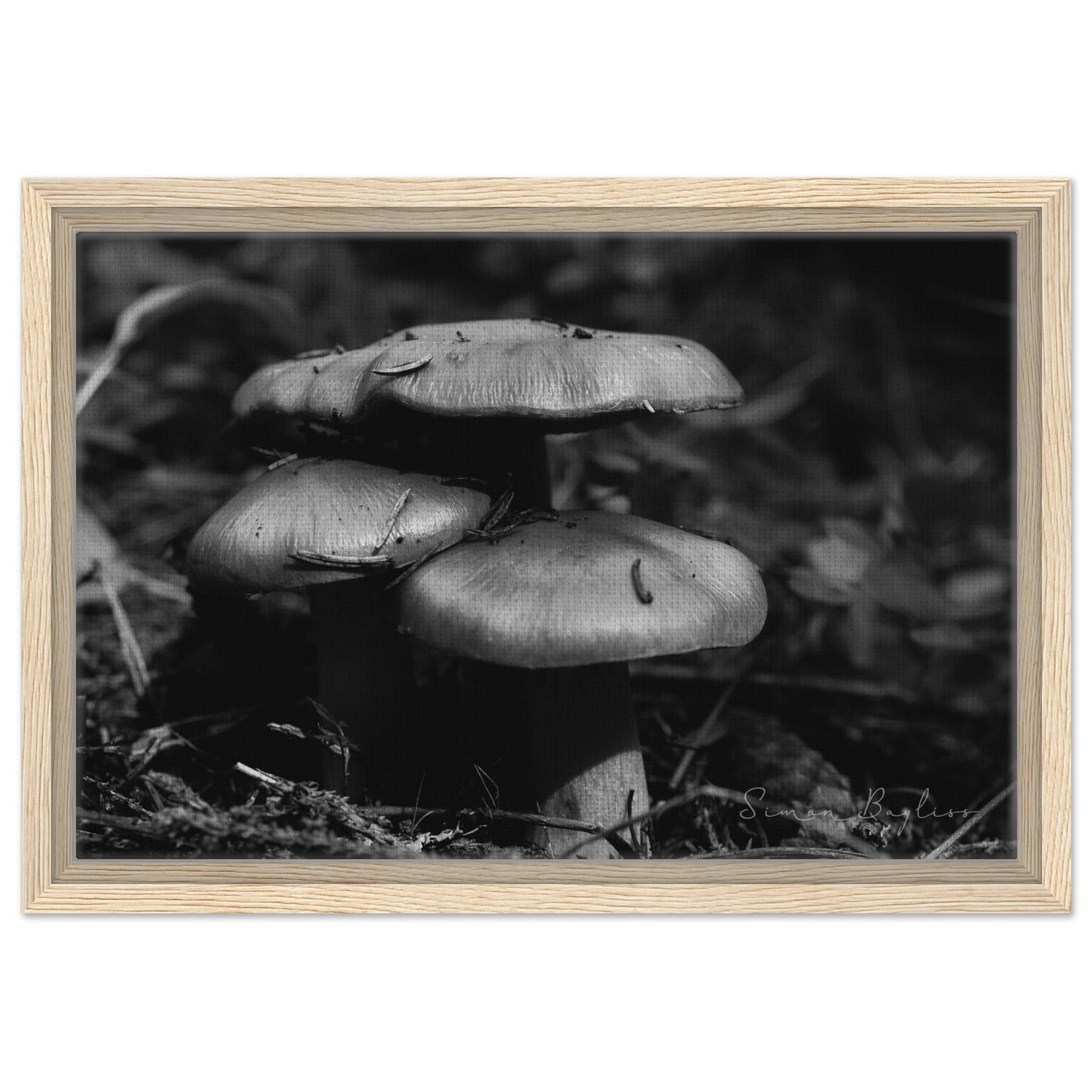 77770692-d0ce-4ae2-b0ff-692f64bd79e9