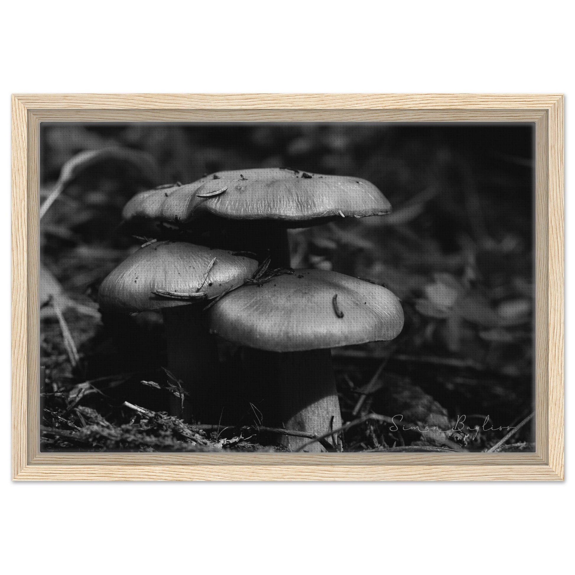 77770692-d0ce-4ae2-b0ff-692f64bd79e9